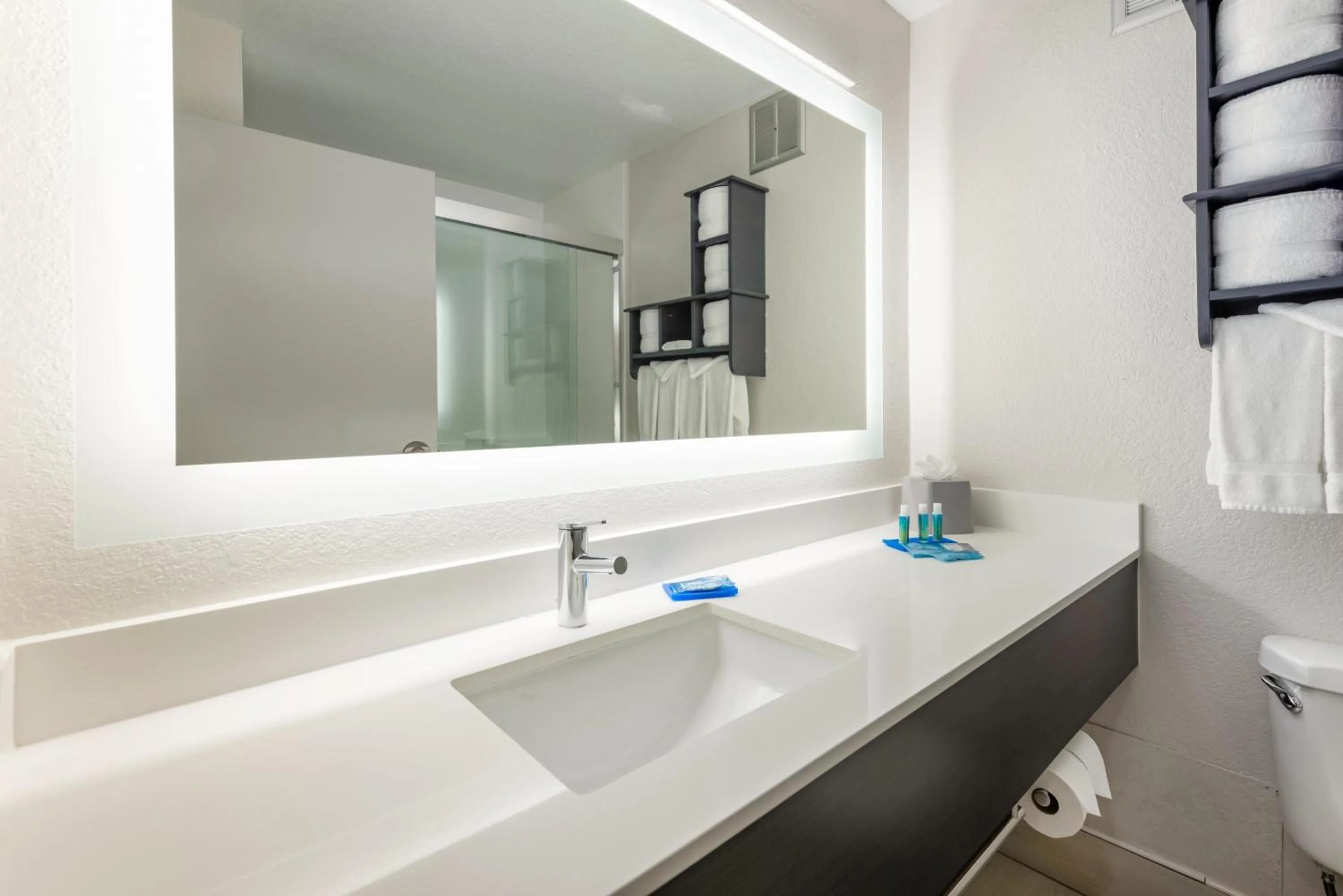 Bathroom in Holiday Inn Express - Columbus Downtown by IHG