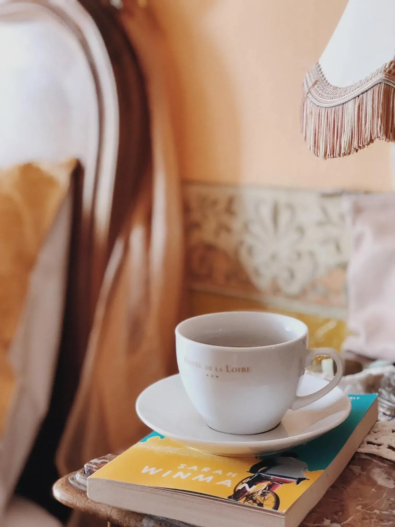 Comfort Double Room in Hotel De La Loire Comfort Double Room in Hotel De La Loire