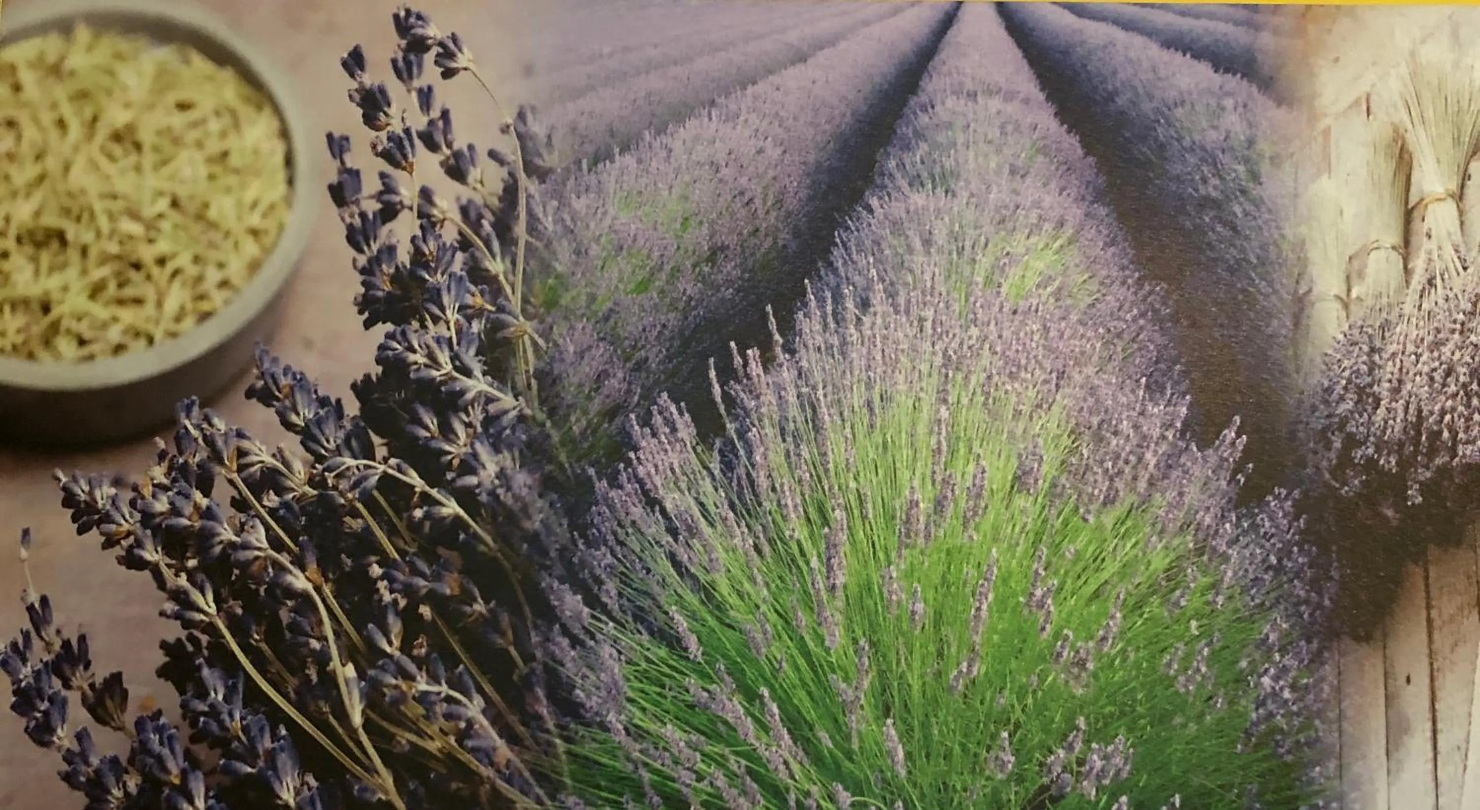 Decorative detail in Hotel De La Loire