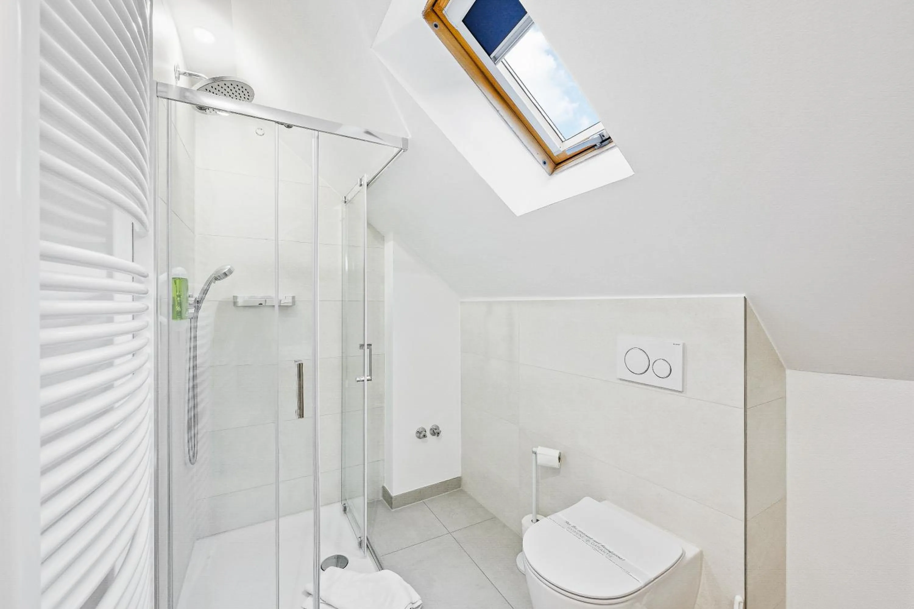 Shower in Hotel Phoenix