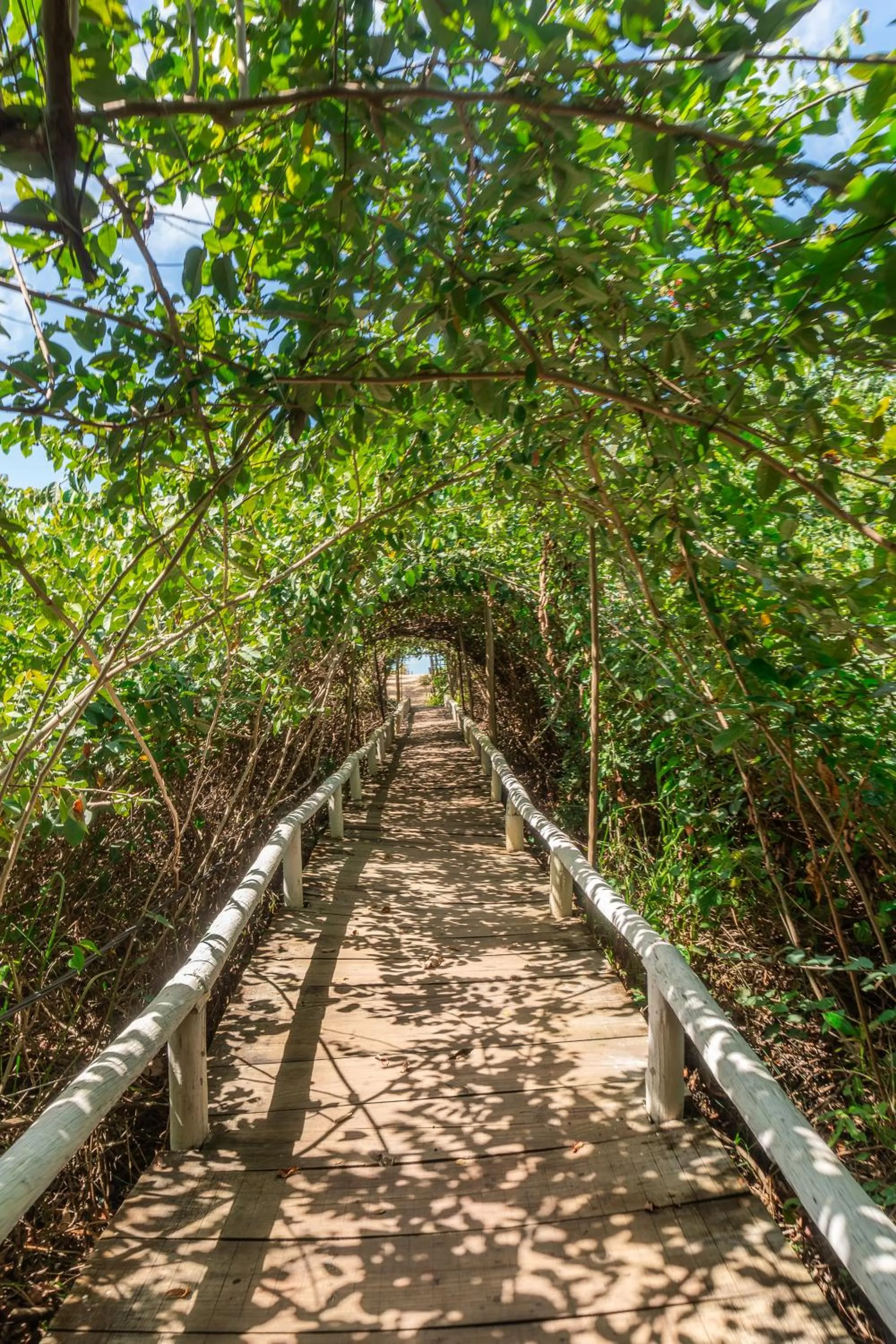 Natural landscape in POUSADA CARMELITHA