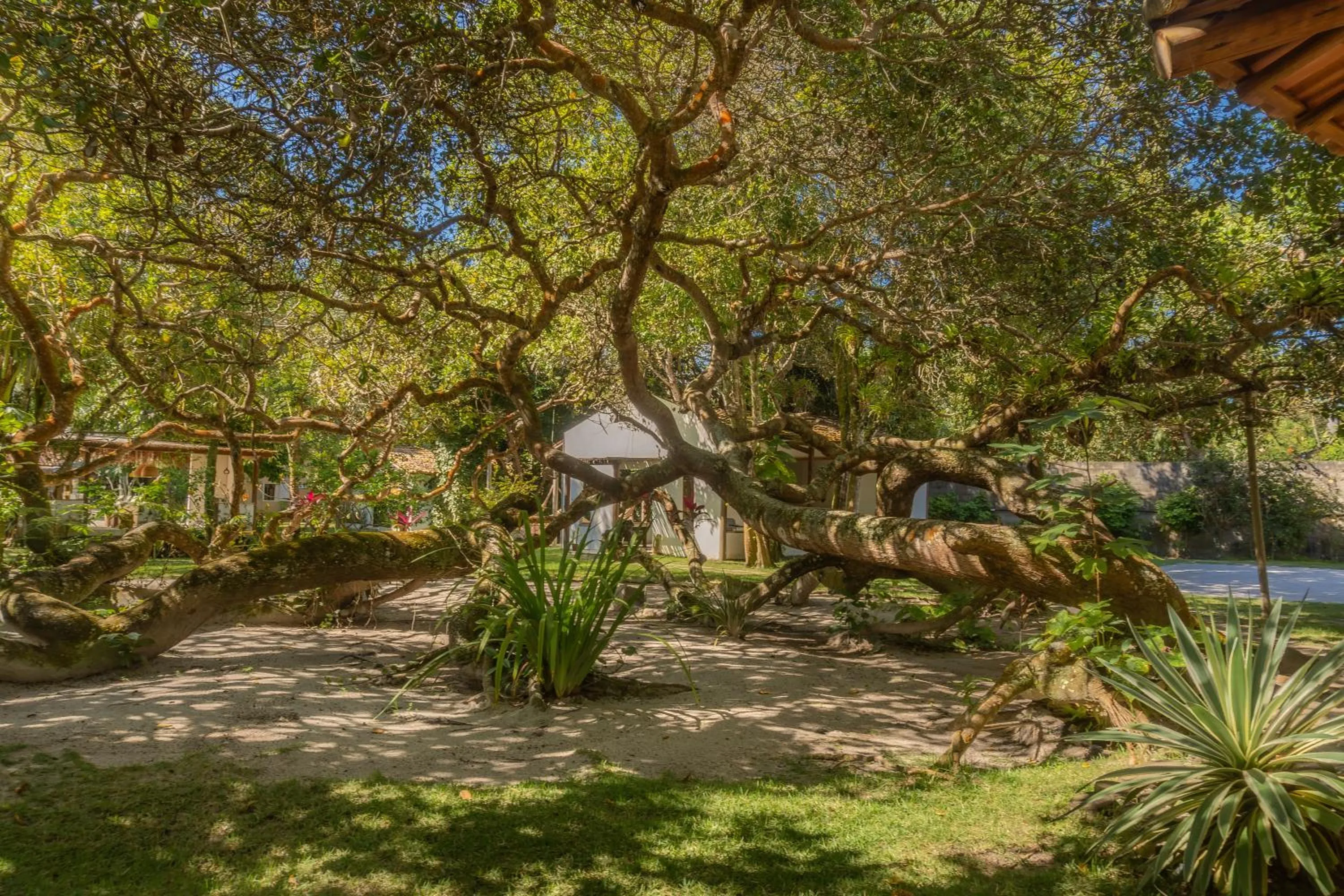 Natural landscape in POUSADA CARMELITHA