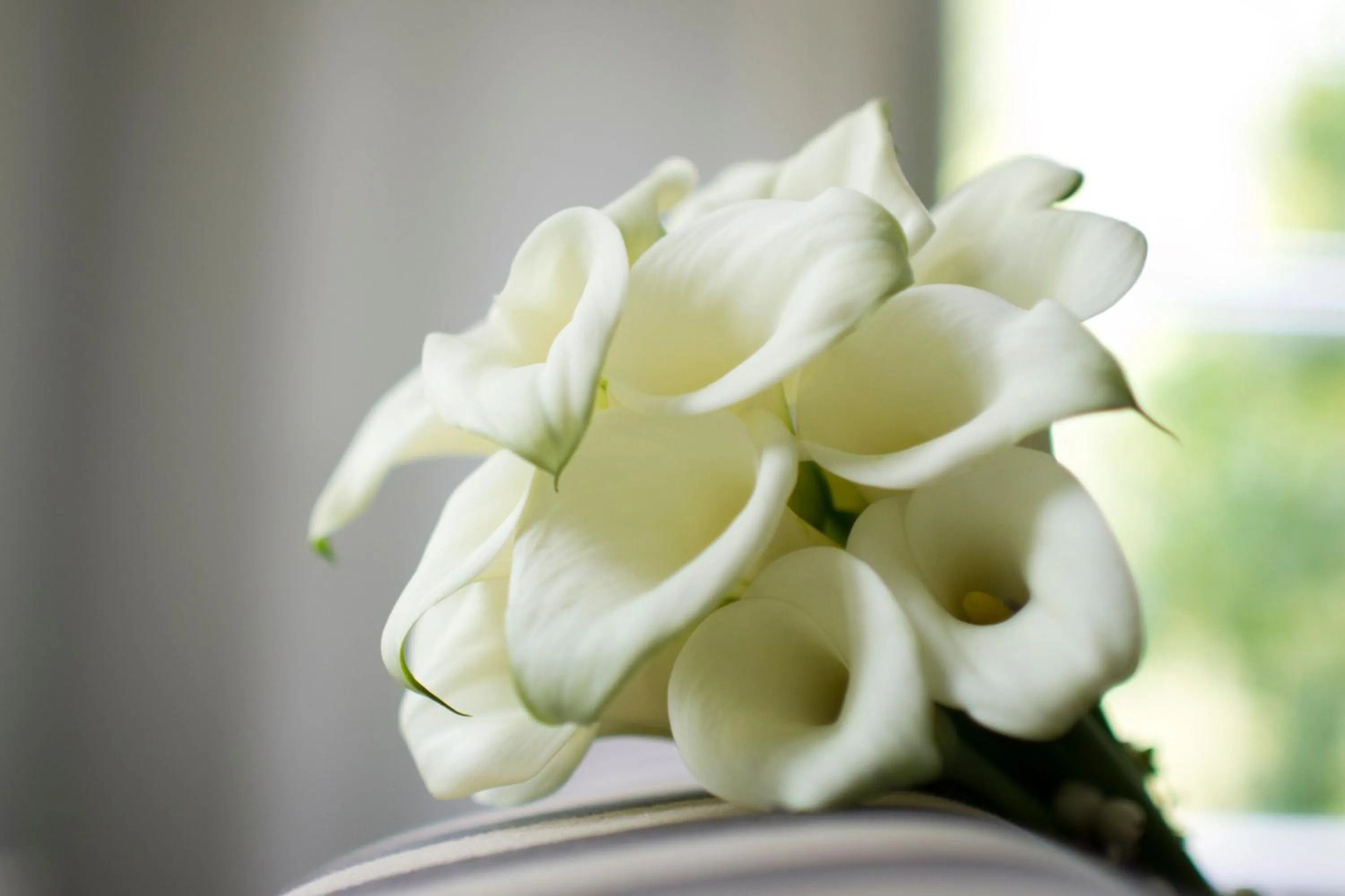 Banquet/Function facilities in Delta Hotels by Marriott Somerset