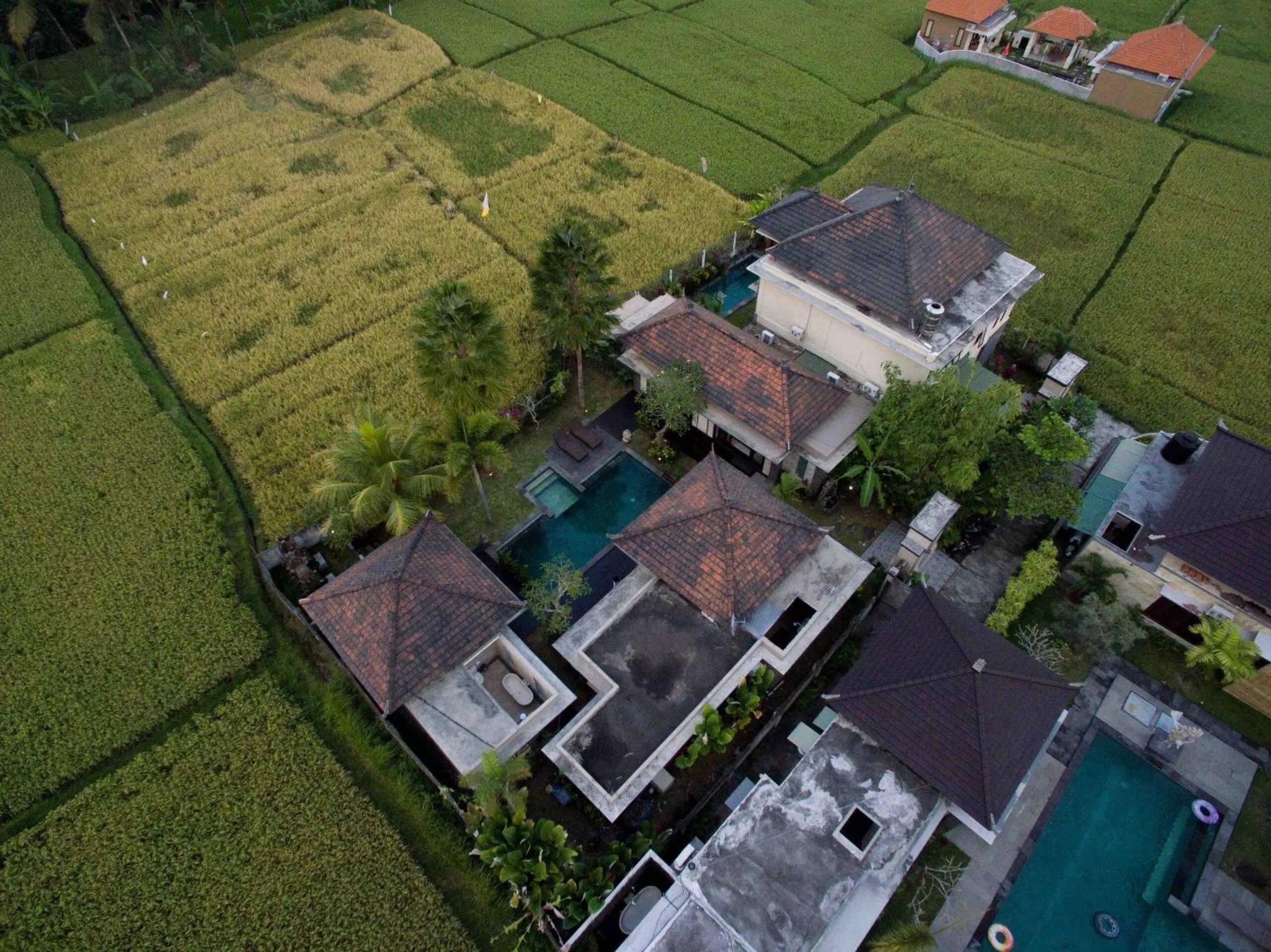 Bird's eye view in Widi Agung Villa