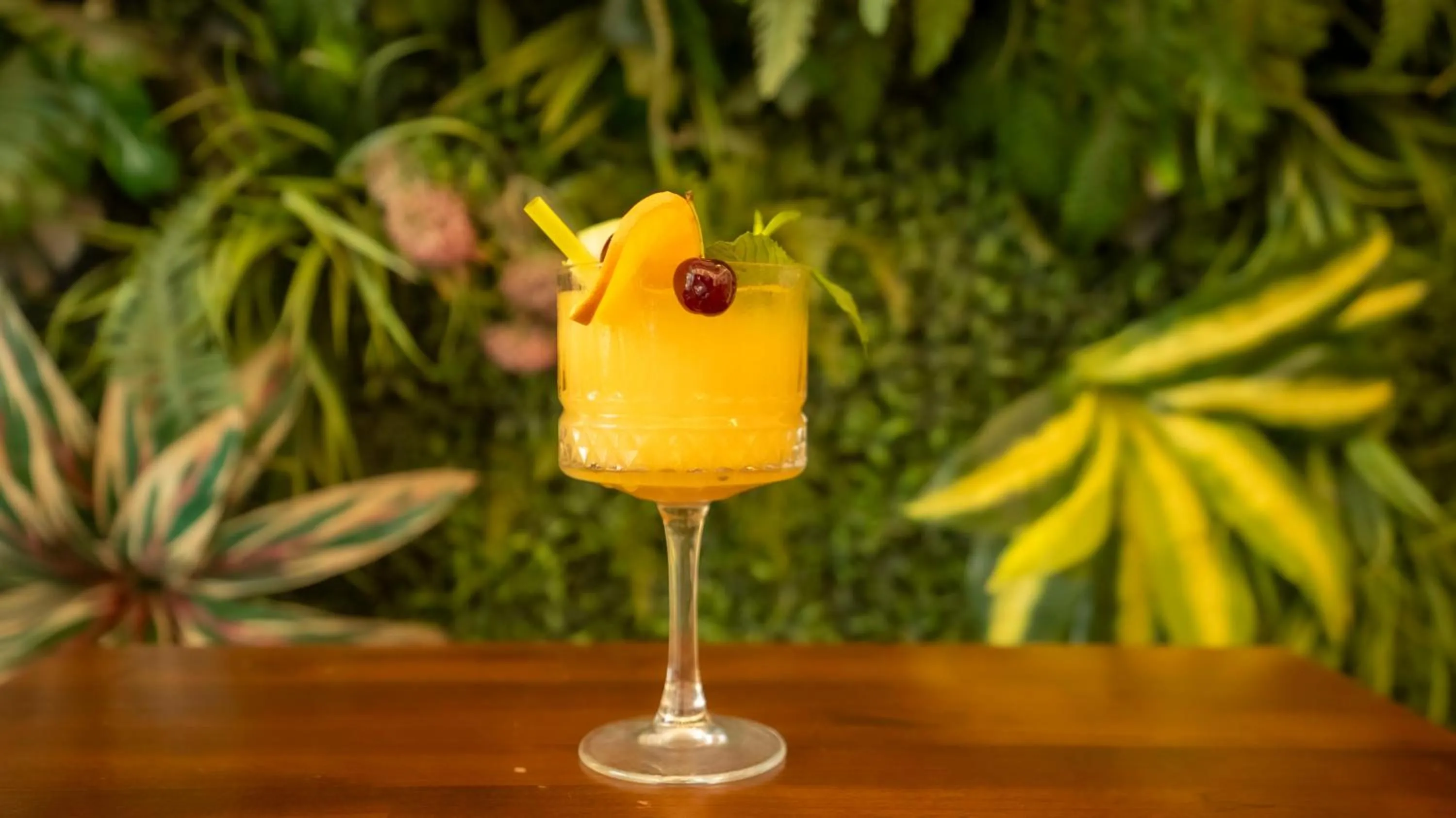 Food and drinks in Farina Hotel By Cigno