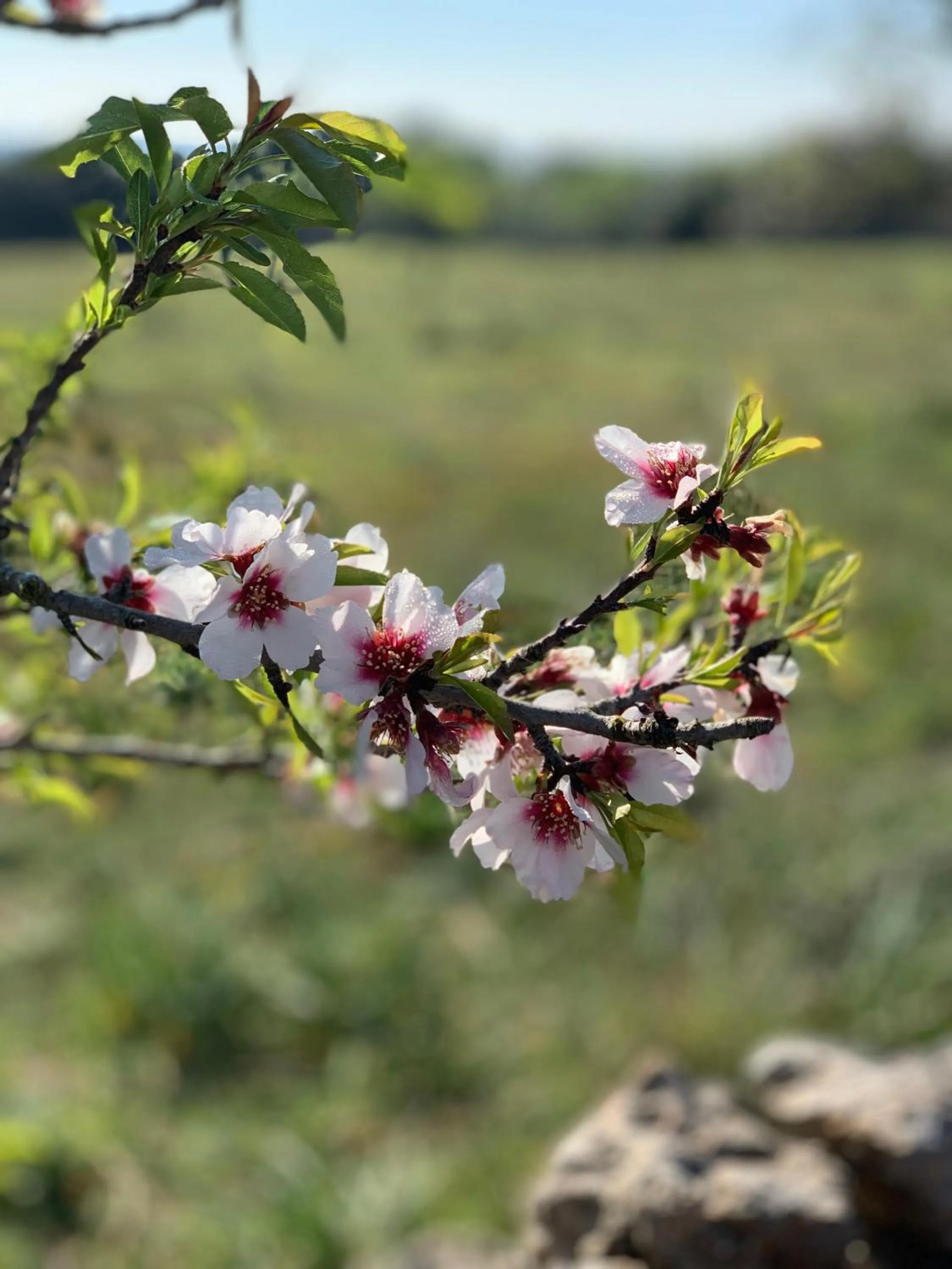 Property building in Ynaira hotel & Spa