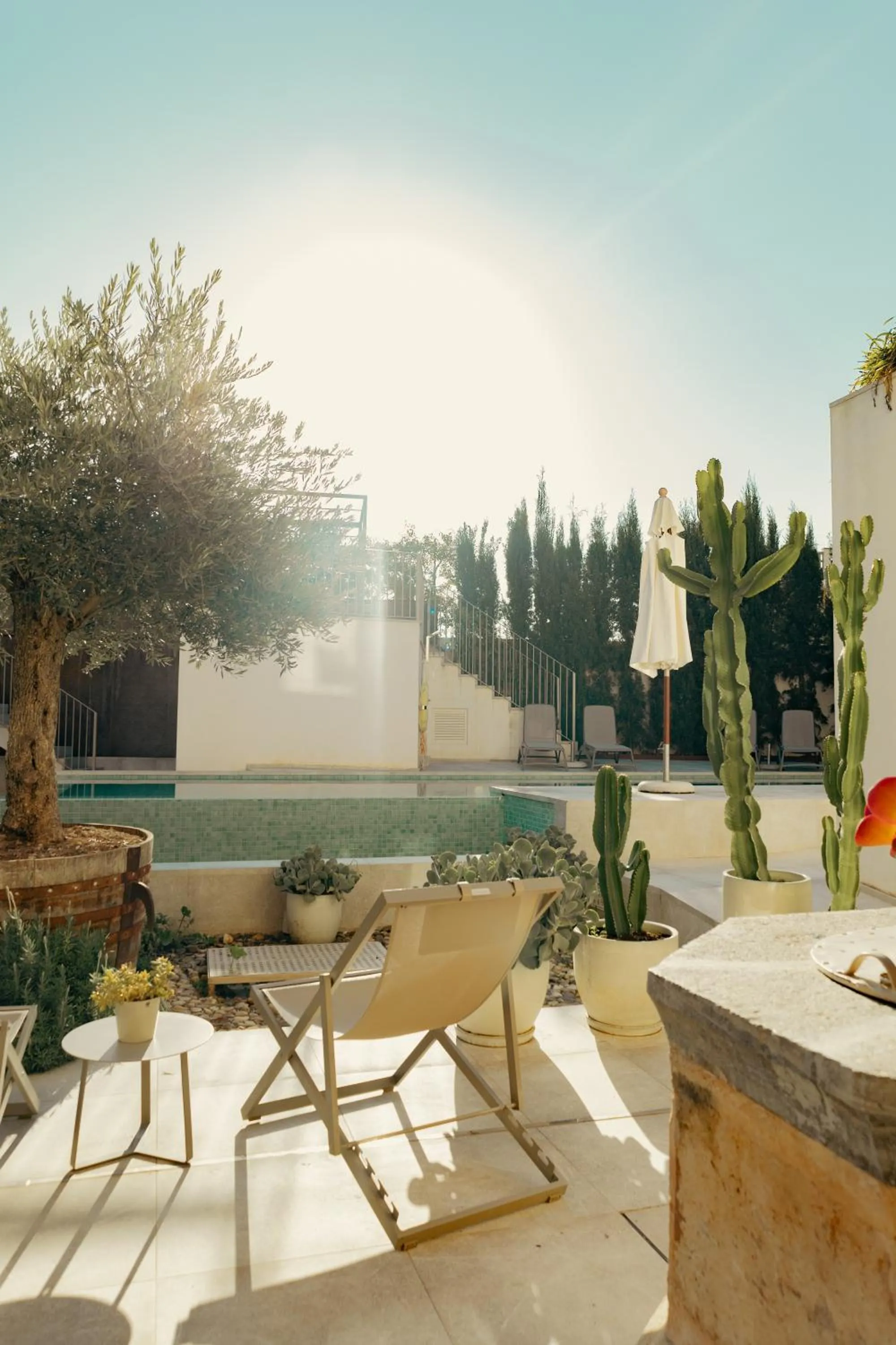 Garden in Ynaira hotel & Spa