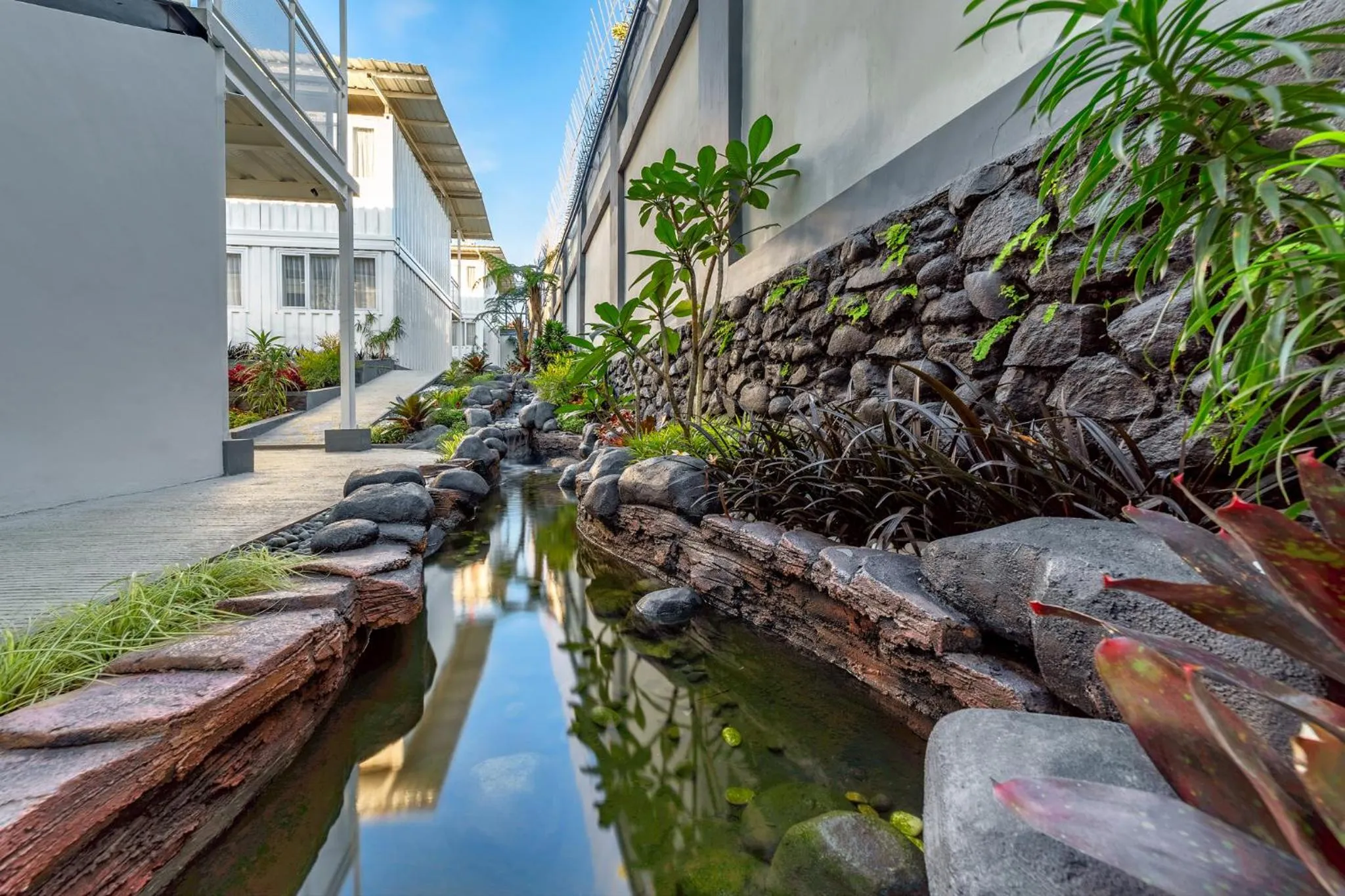 Garden in Kontena Hotel