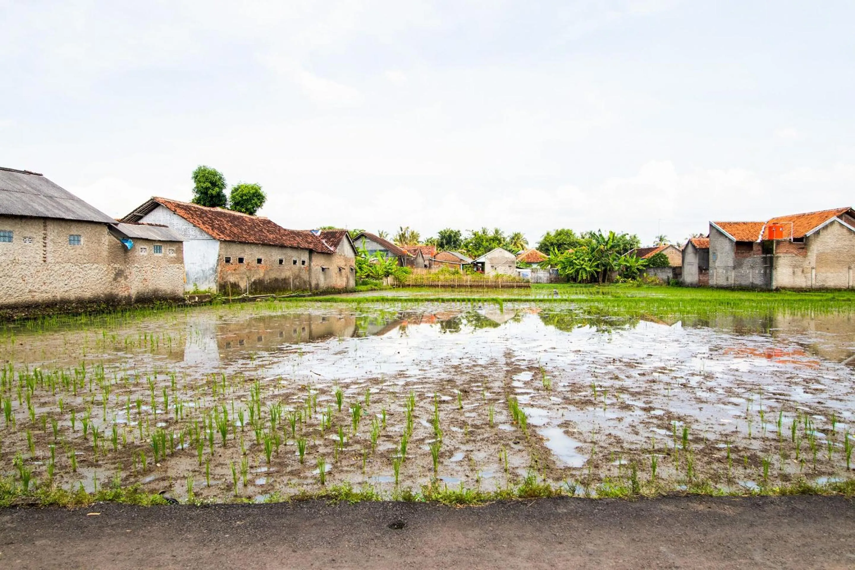 Facade/entrance in Hotel O Villa Tirta Melati Syariah