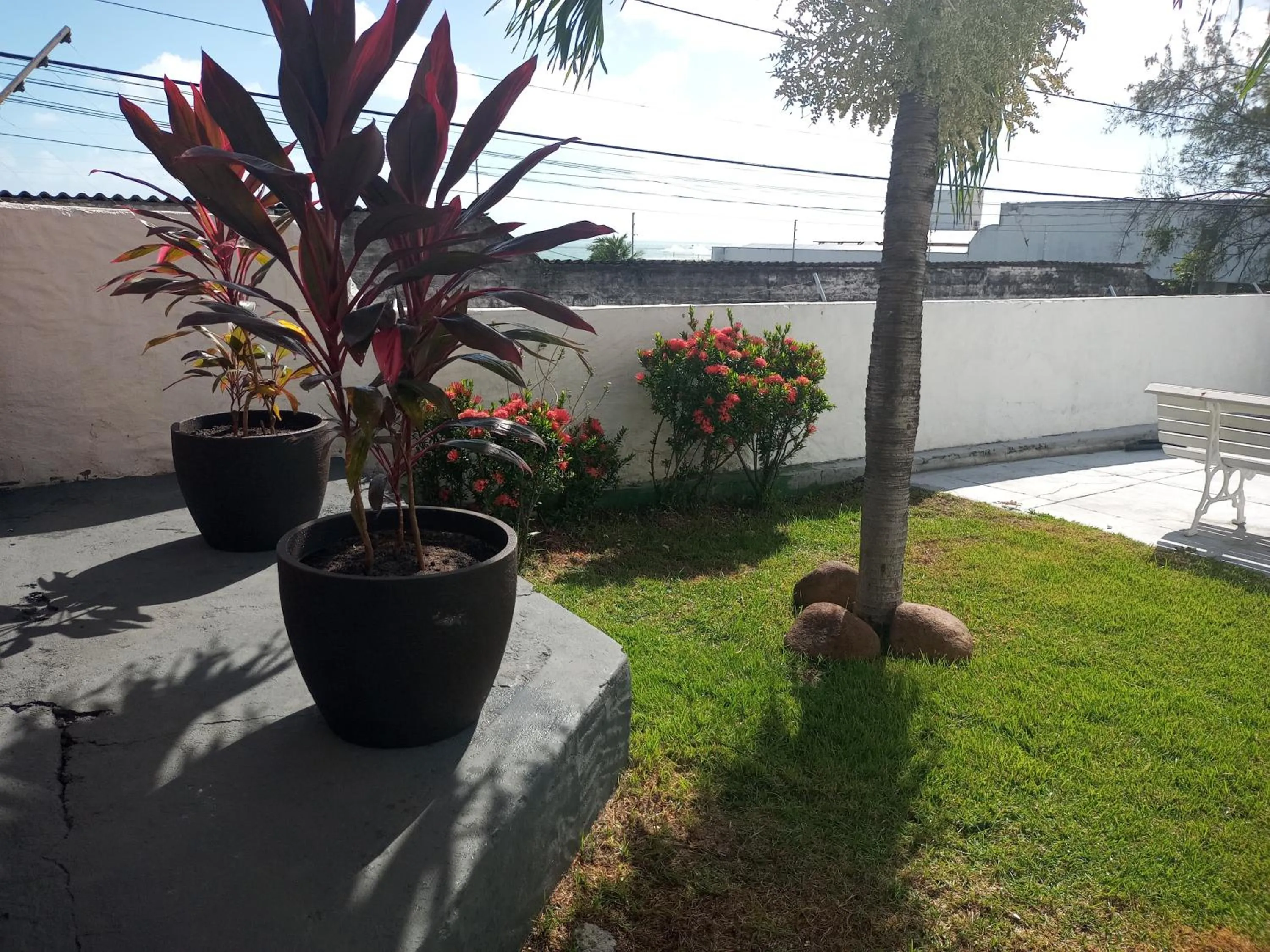 Garden in WG Beach Hotel