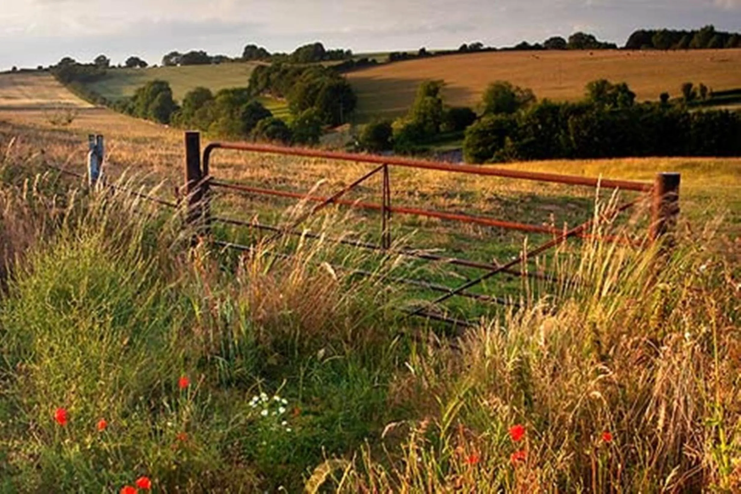 Area and facilities in La Fosse at Cranborne
