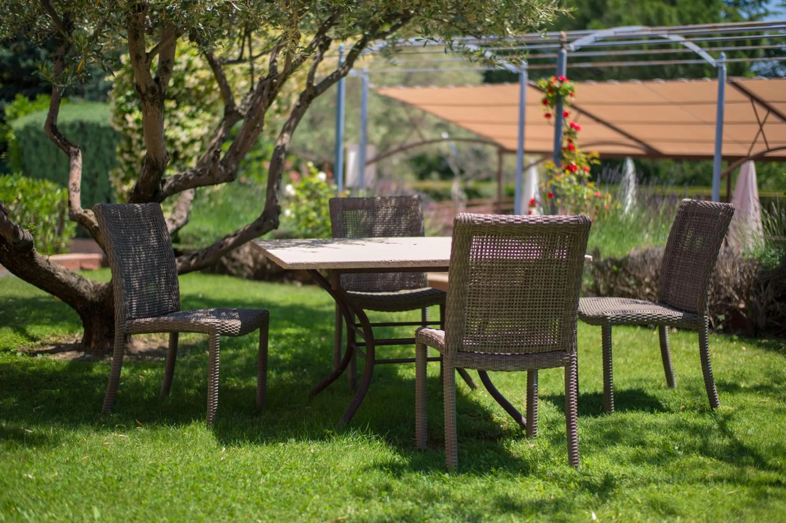 Garden in Hôtel Le Pré Saint Michel