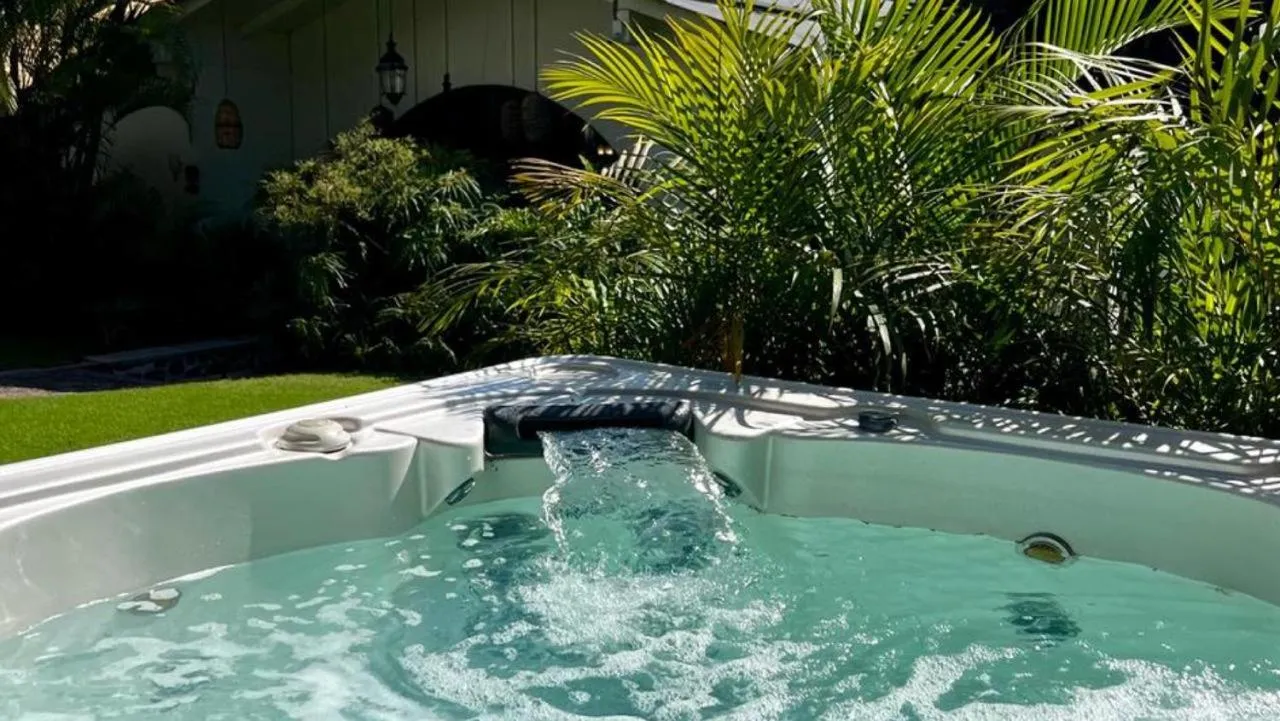 Garden in Plaza Chapala Hotel