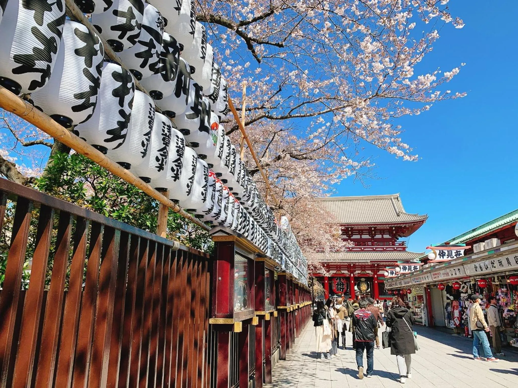 HOTEL TAVINOS ASAKUSA - Vacation STAY 64893