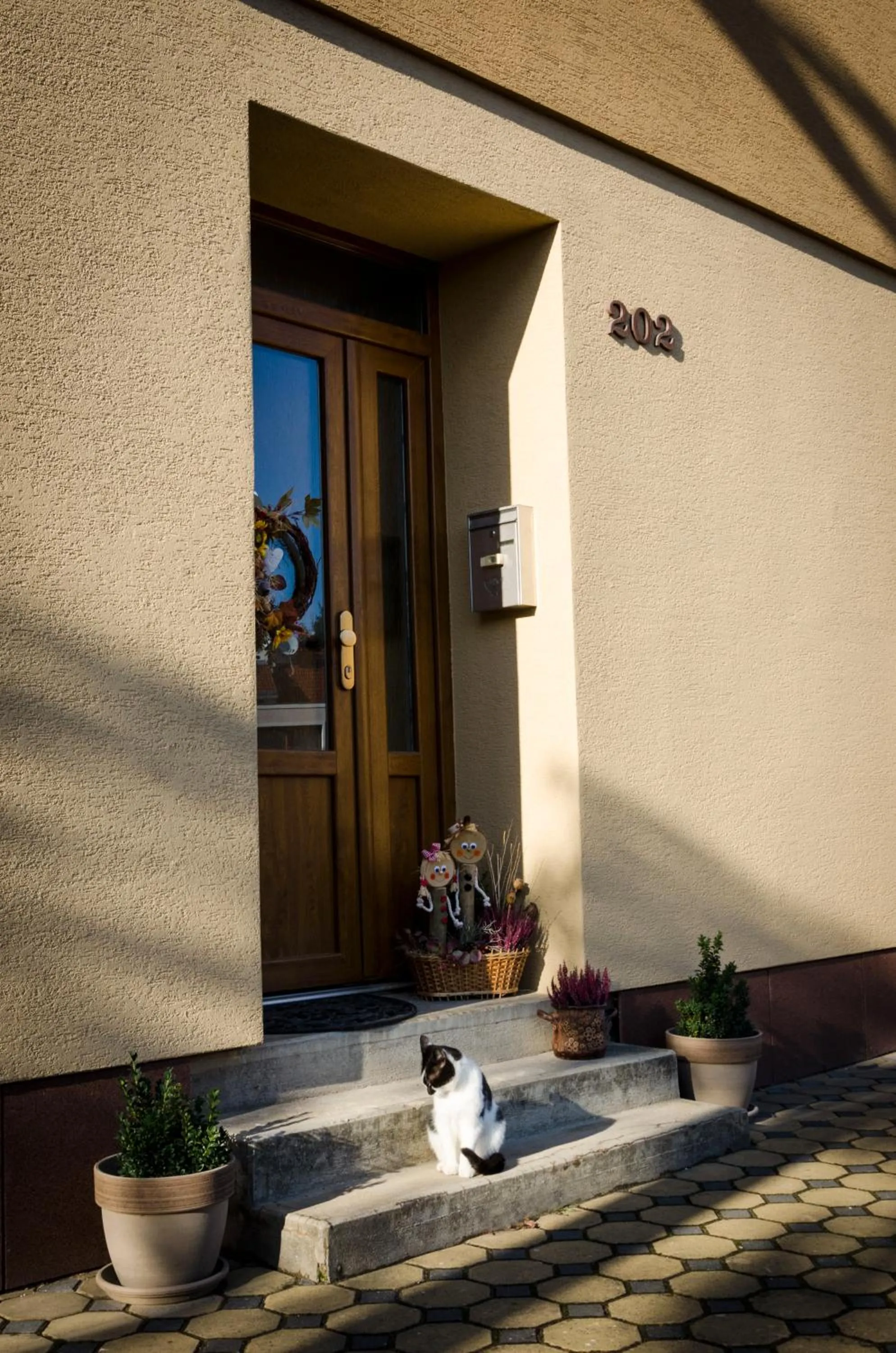 Property building in Apartmány u Kotačků