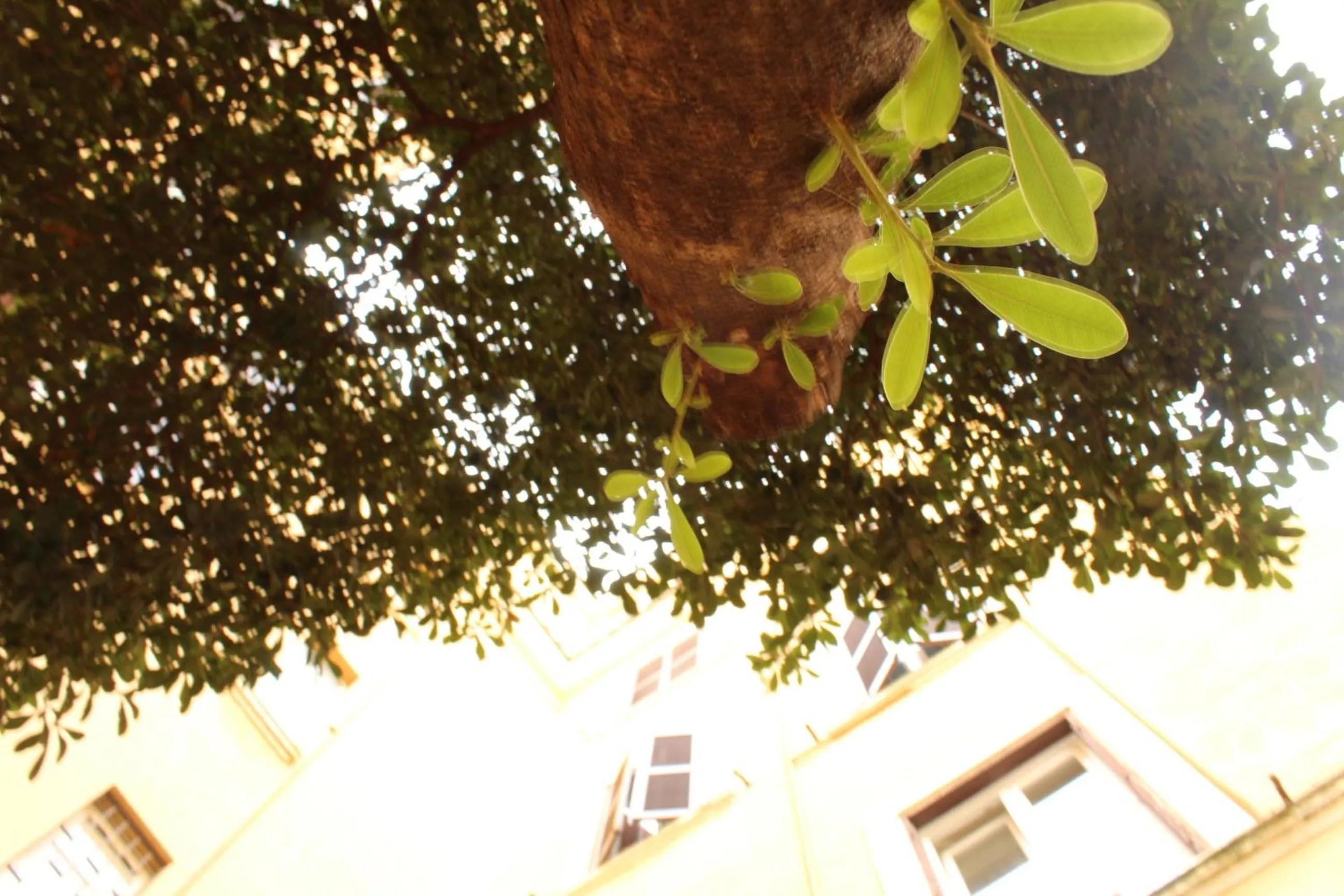 Property building in B&B Acquamarina