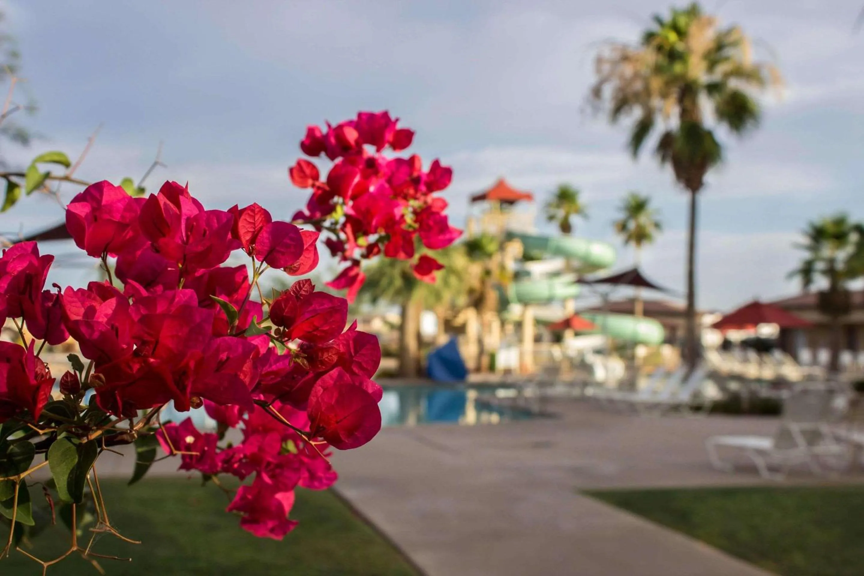 Swimming pool in Bluegreen Vacations Cibola Vista Resort and Spa, an Ascend Collection Resort
