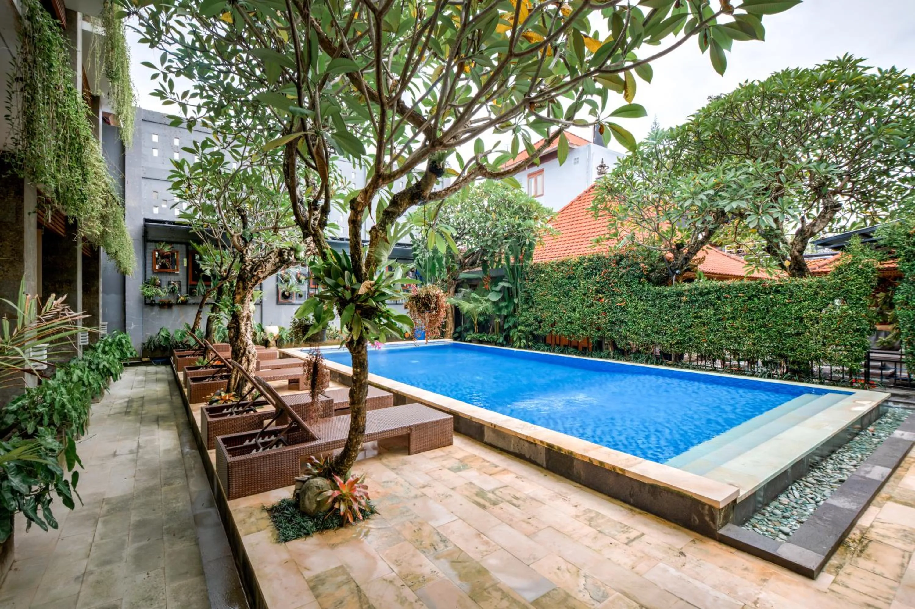 Swimming pool in D Sarian Seminyak