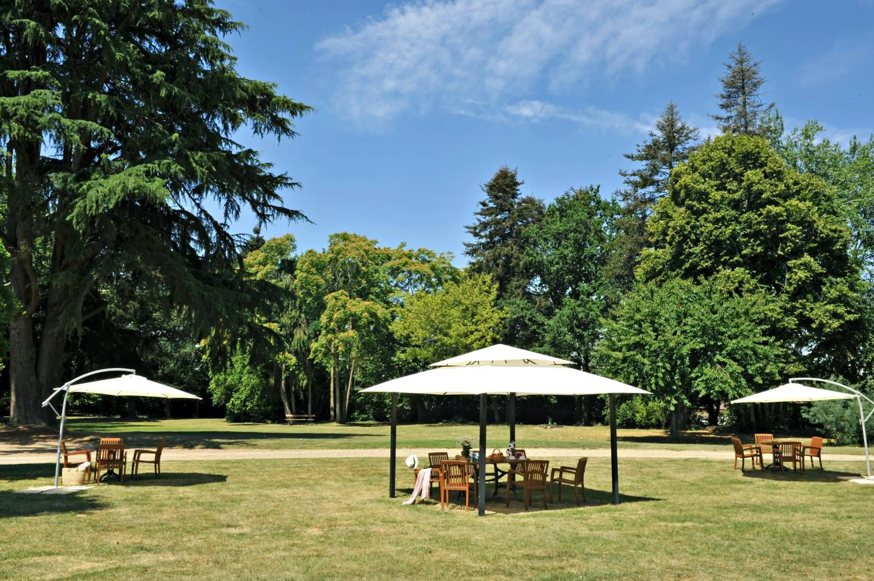 Garden in Logis Le Parc Hotel & Spa