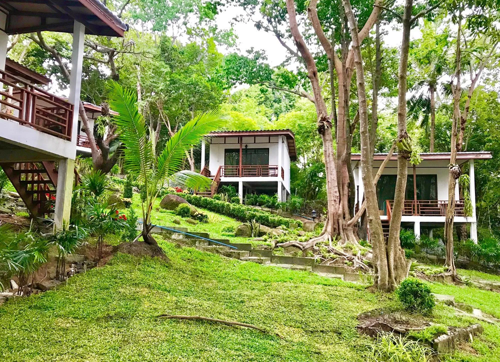 Garden in Chareena Garden