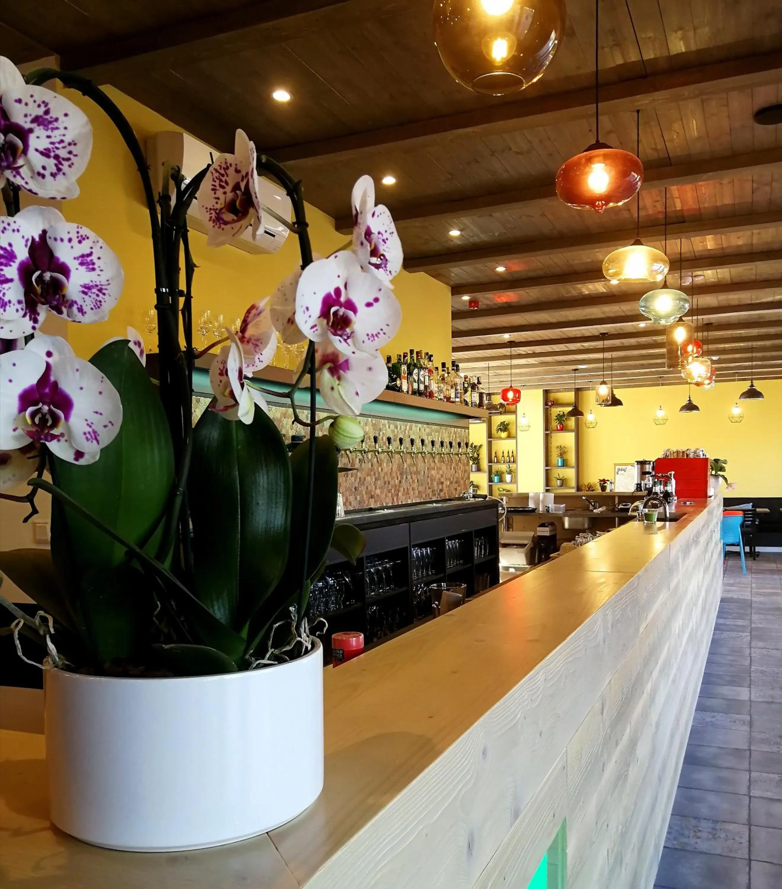 Restaurant/places to eat in Ludwig Hotel