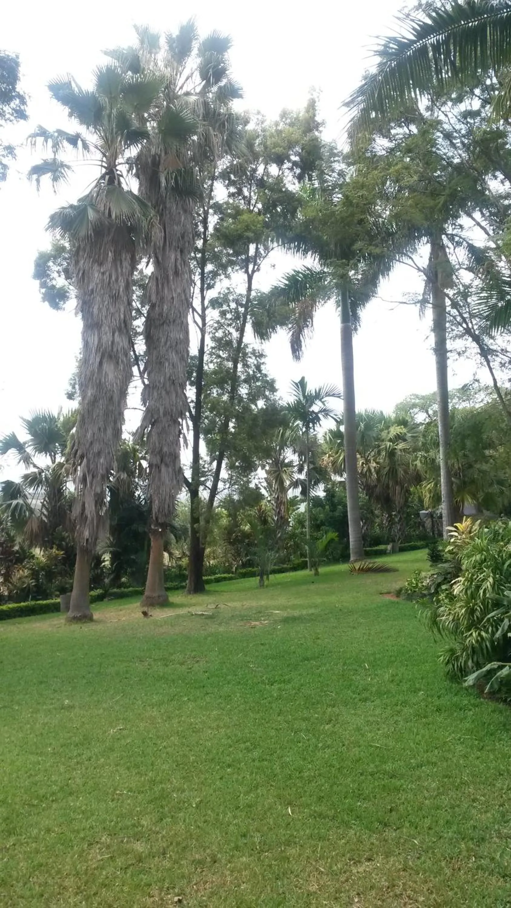 Garden in St George's Guest House