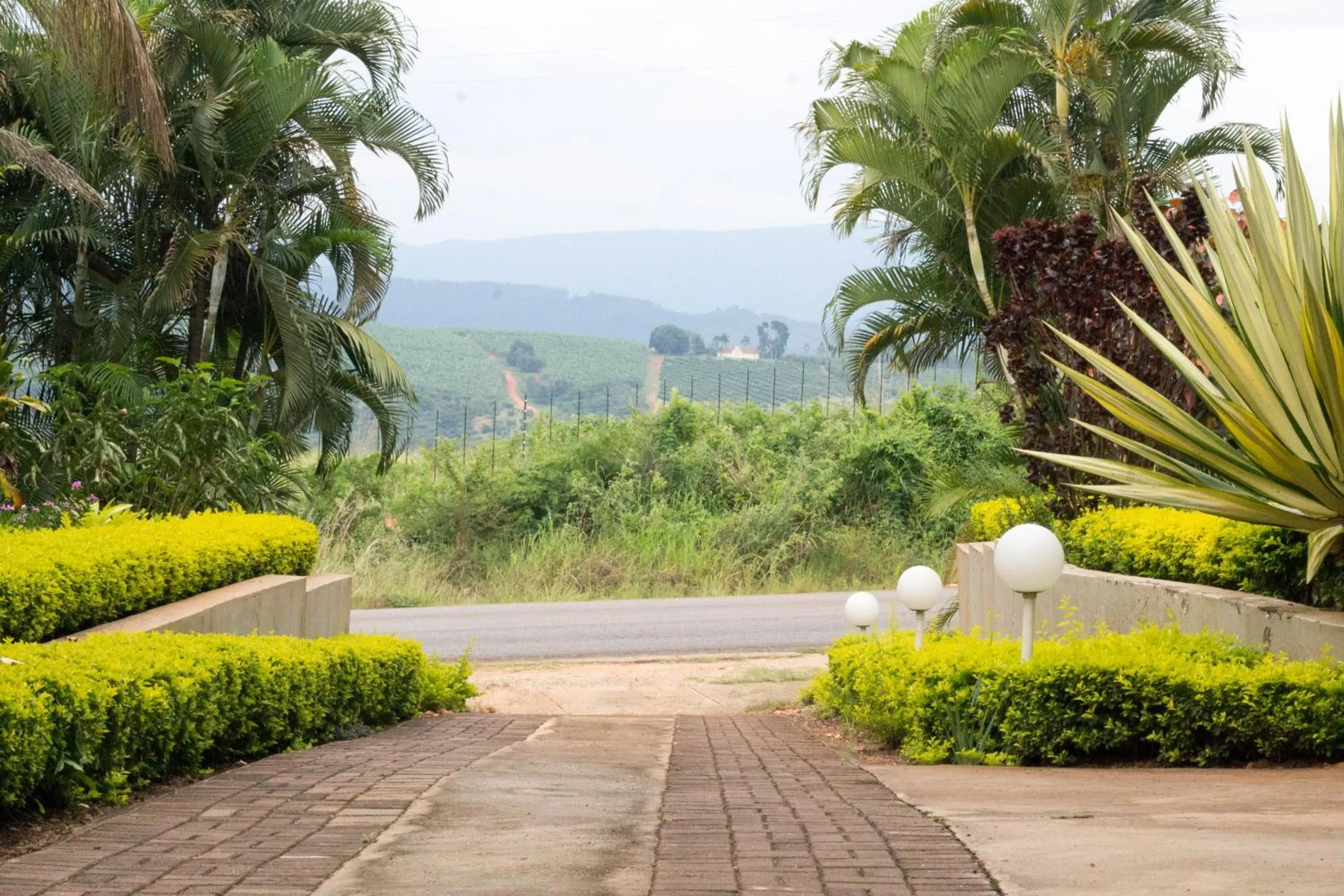 Day in St George's Guest House