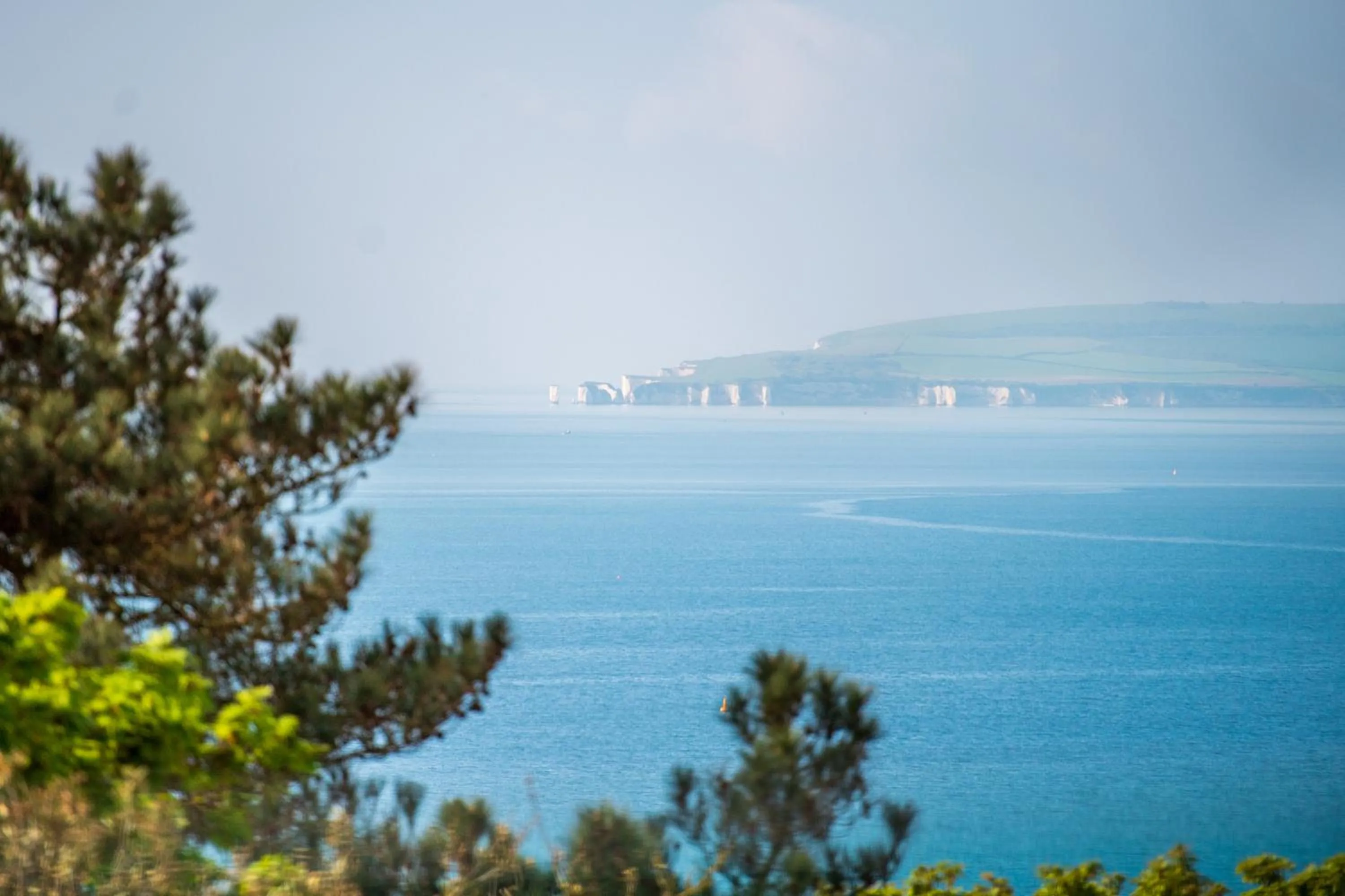 Location in The Nici