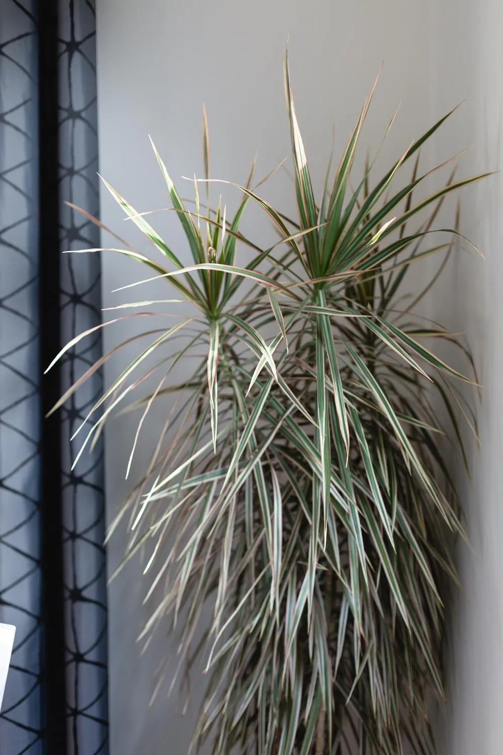 Decorative detail in Brink Hotell