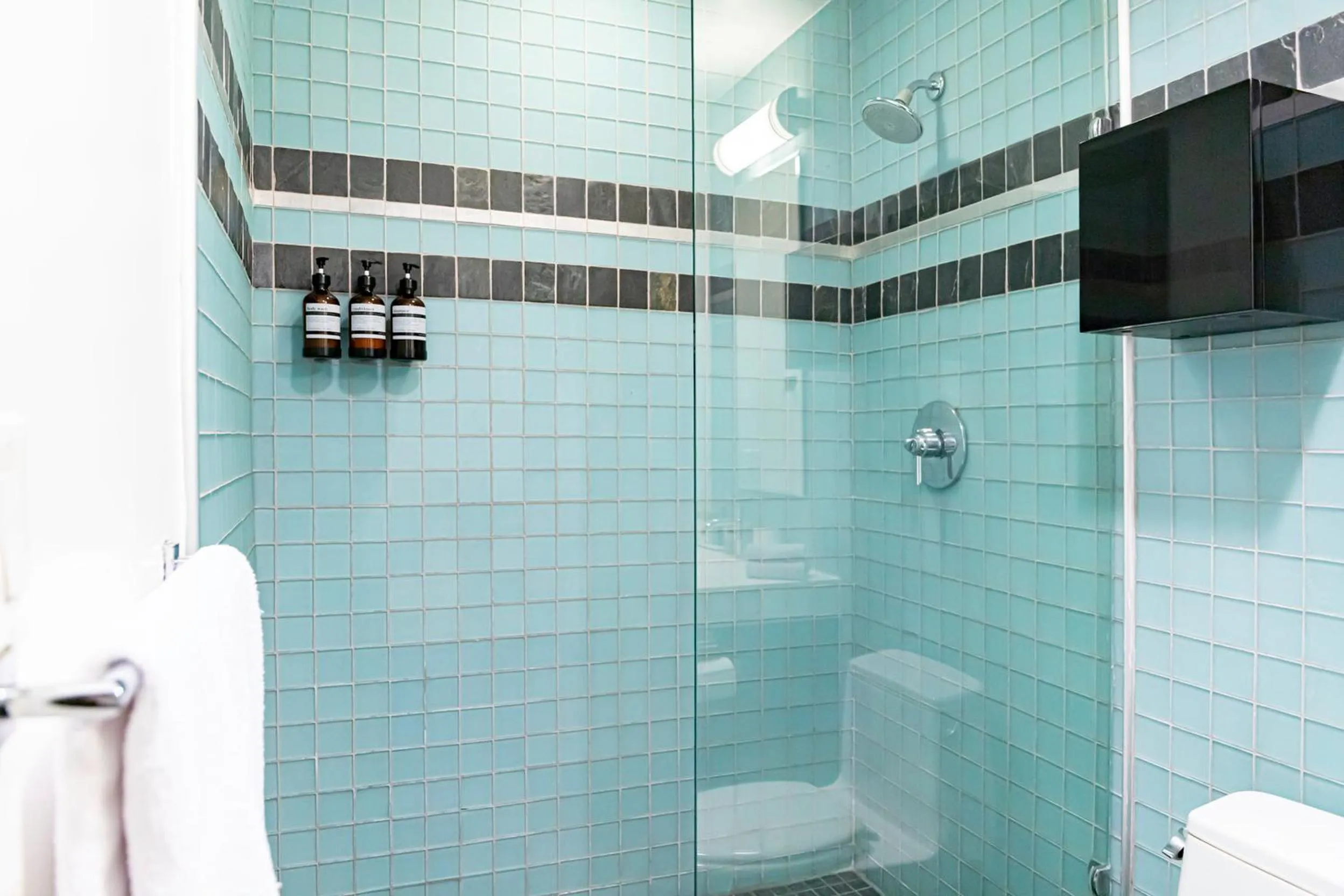 Shower in Fashion Loft 2 bedroom Downtown