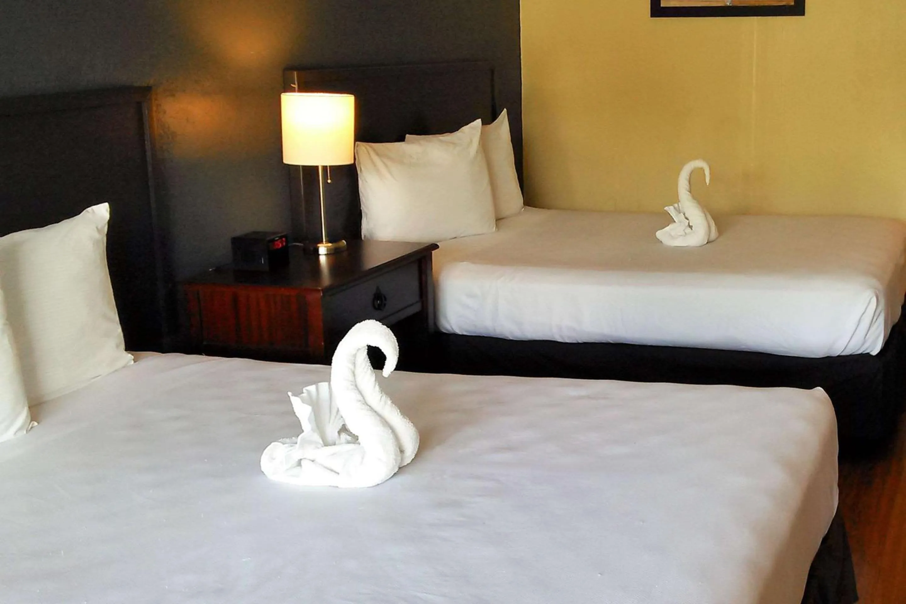 Double Room with Two Double Beds and Pool View - Non-Smoking/First Floor  in Econo Lodge Ormond Beach North - Daytona