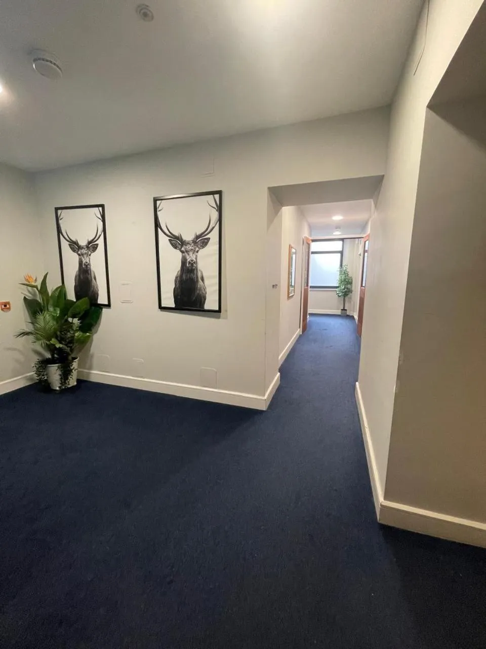 Property building in Simple Stay