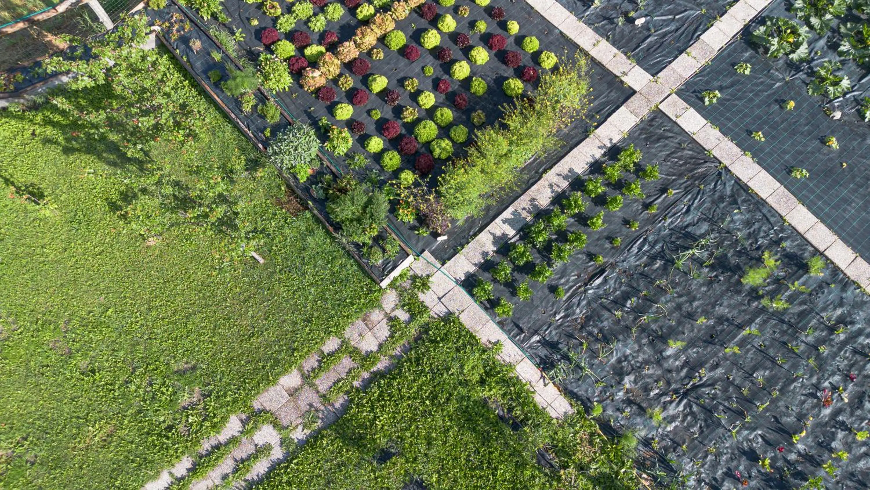 Garden in Agriturismo San Gallo