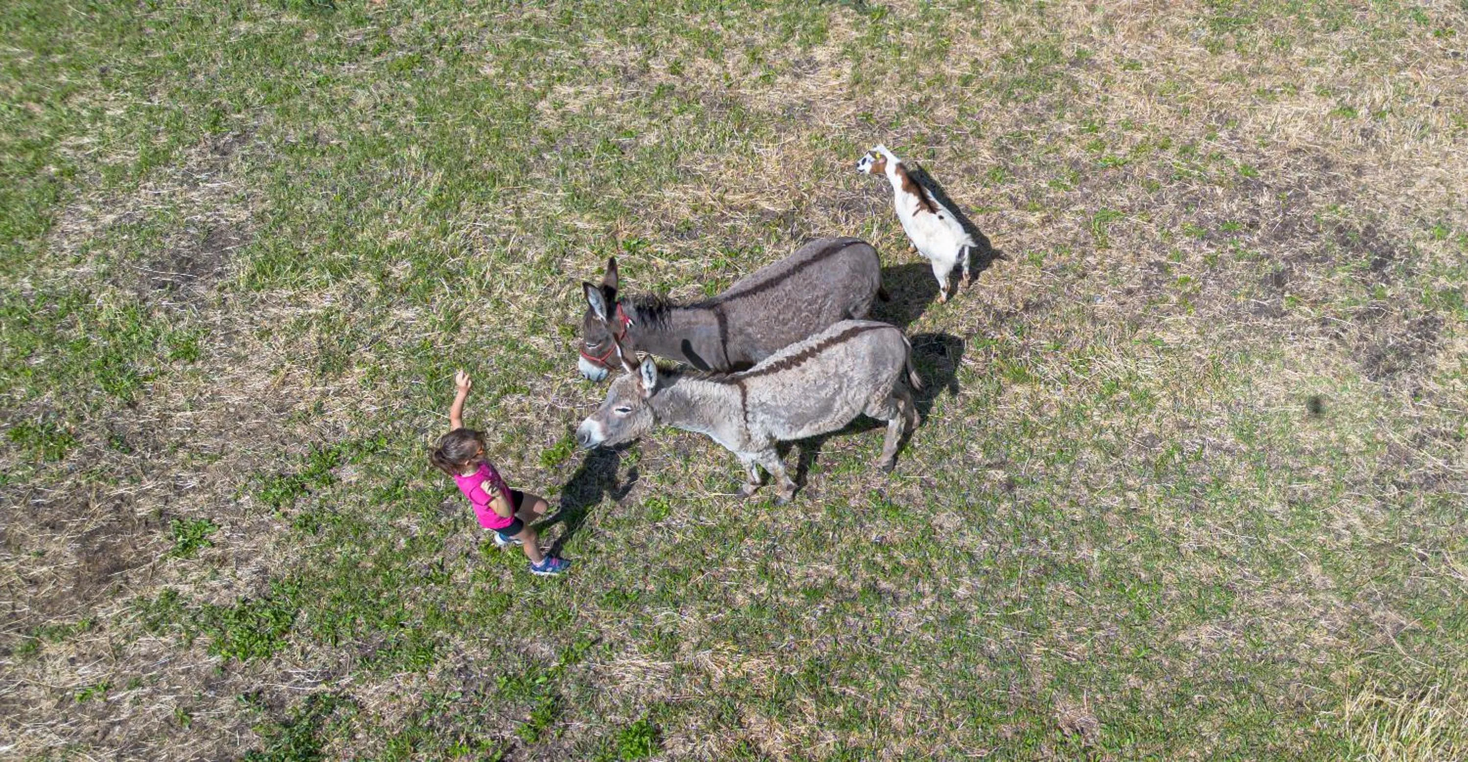 Day in Agriturismo San Gallo