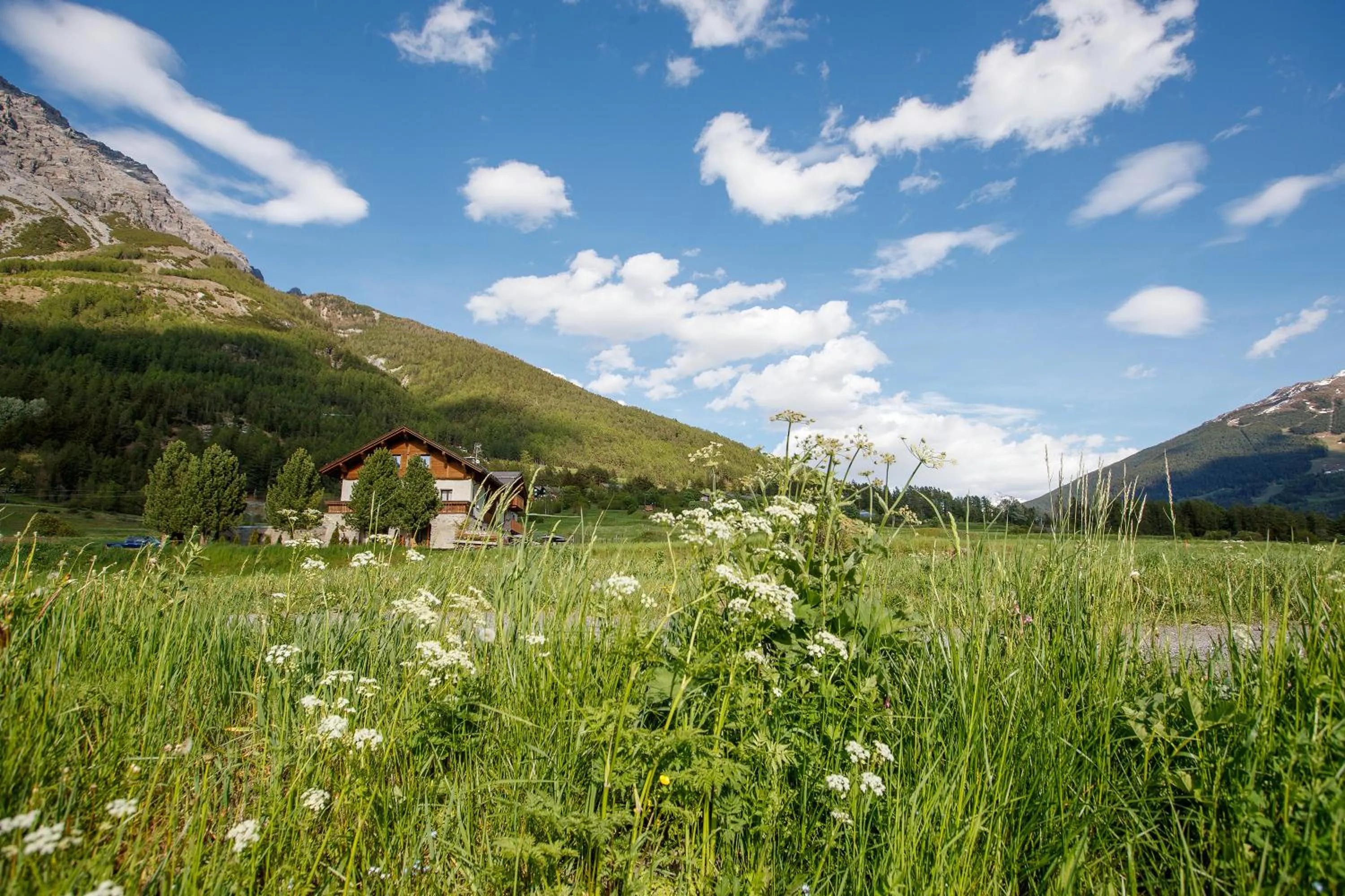 Natural landscape in Agriturismo San Gallo