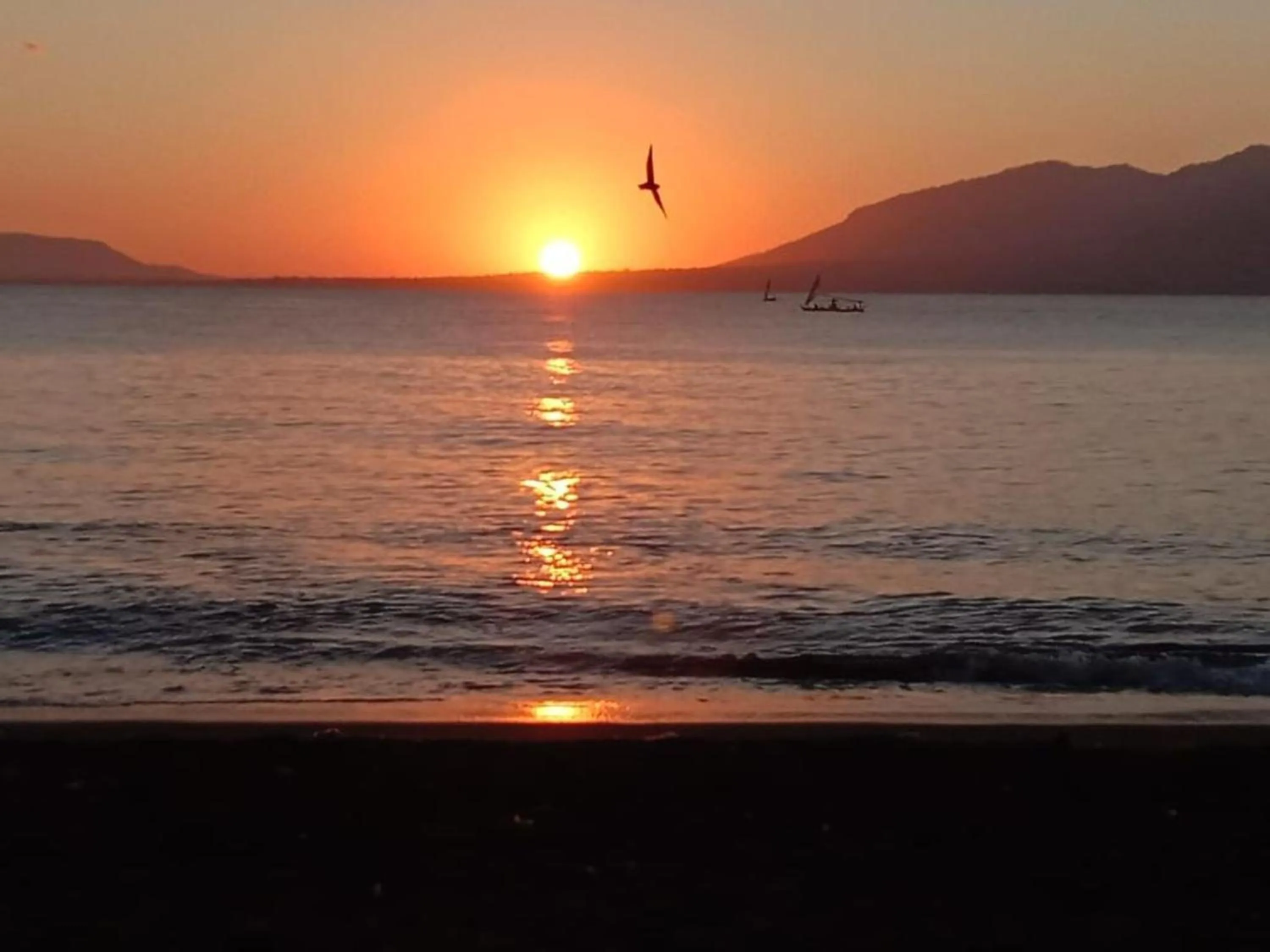 Property building in Sunrise Banyuwangi Homestay