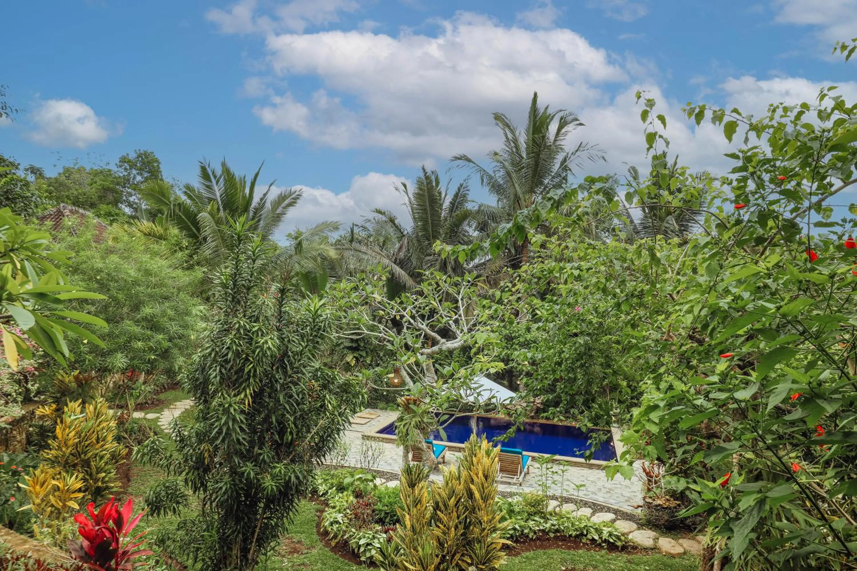 Pool view in The Tukad Gepuh Cottage and Resto