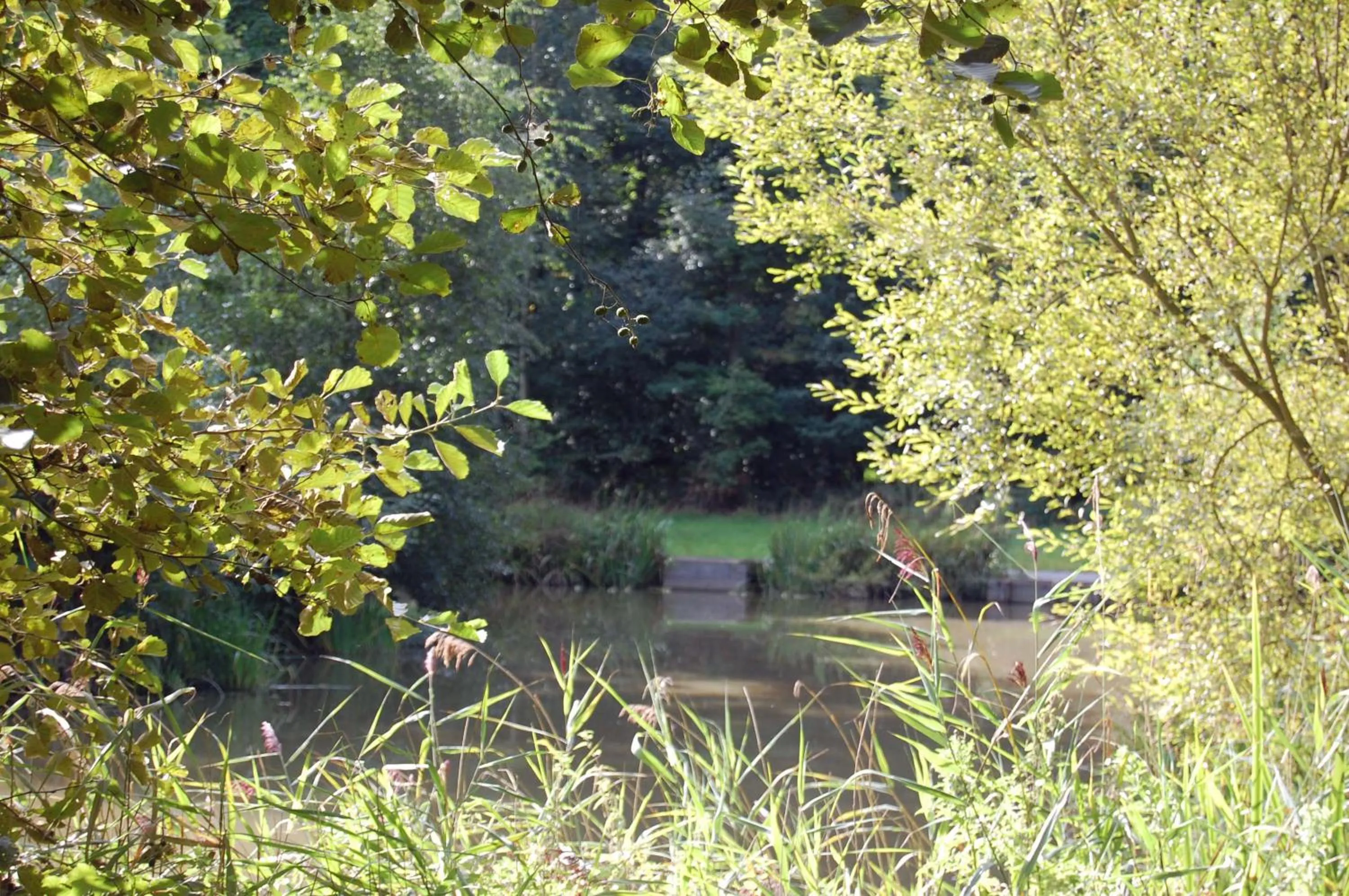 Natural landscape in Hollicarrs - Honeycomb Lodge
