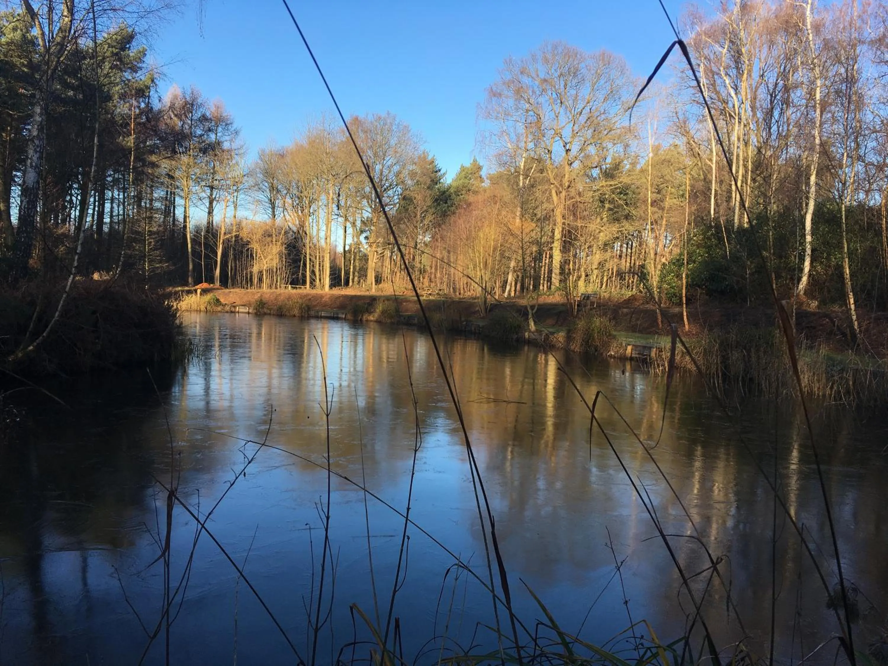 Natural landscape in Hollicarrs - Honeycomb Lodge