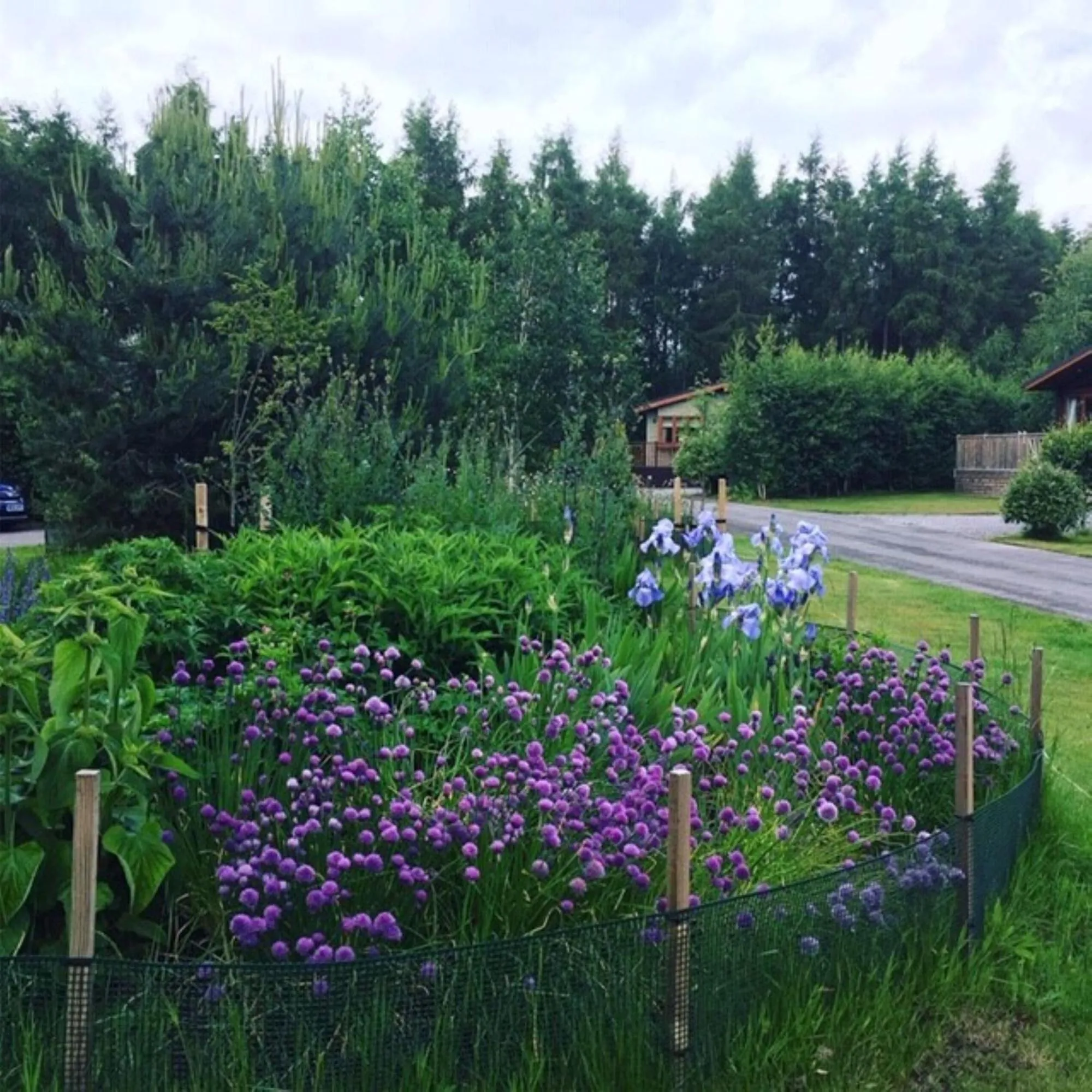 Property building in Hollicarrs - Honeycomb Lodge