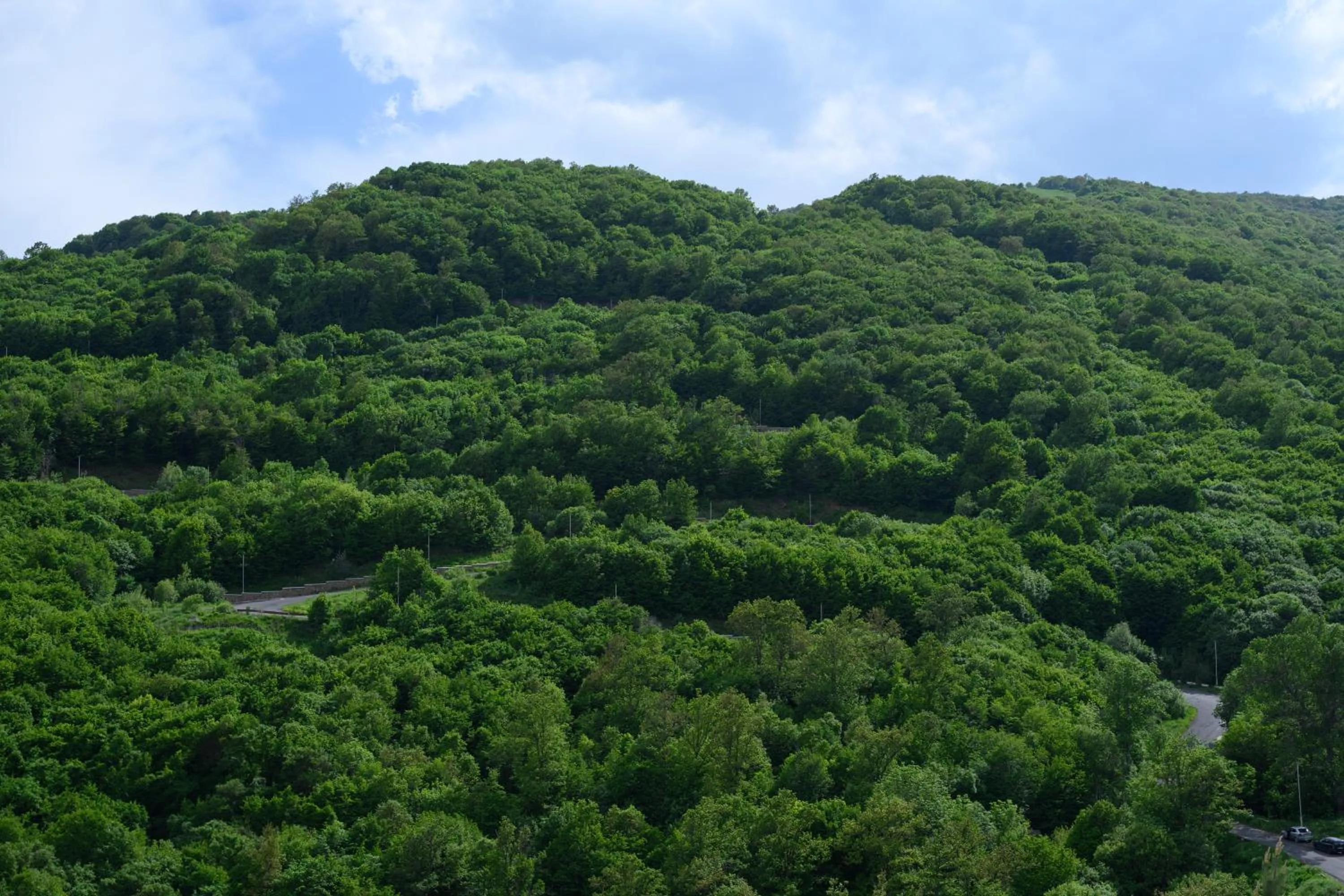 Natural landscape in Aurora Resort Tsaghkadzor, By One