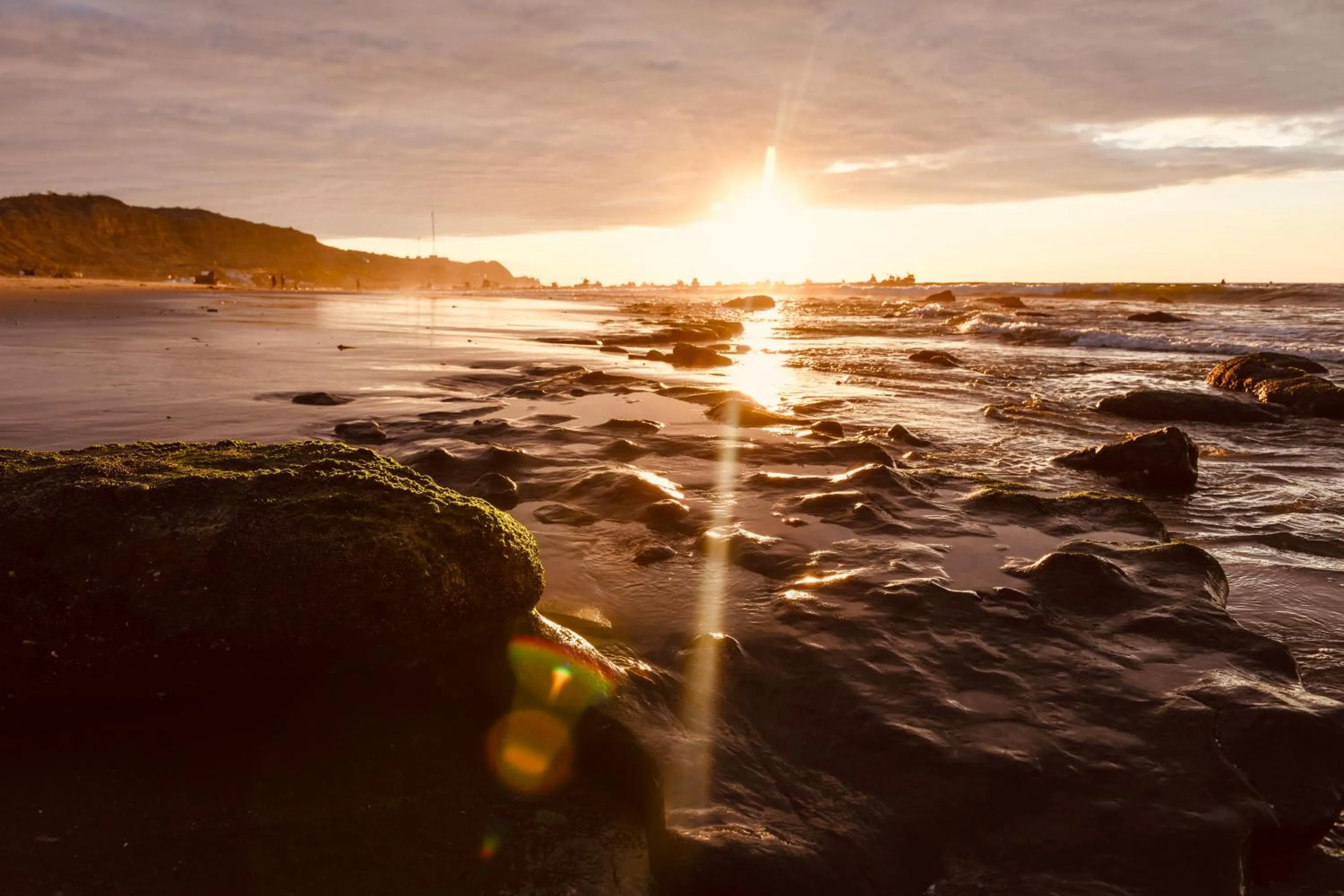 Natural landscape in Alma Loft