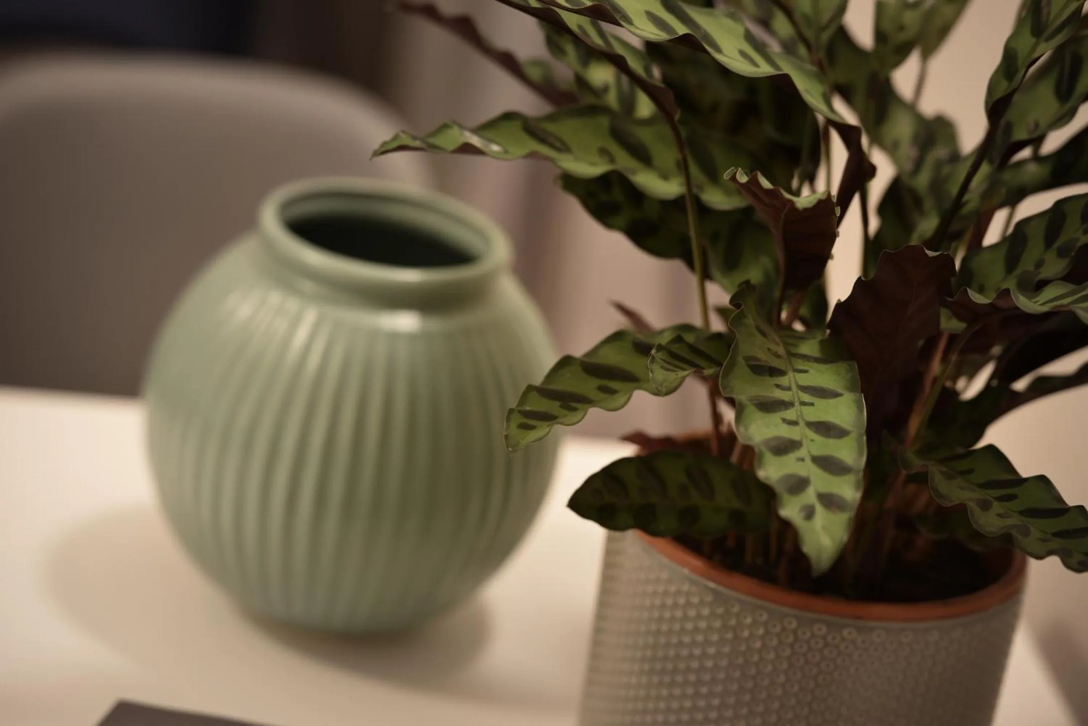 Decorative detail in White Swan Boutique Apartments