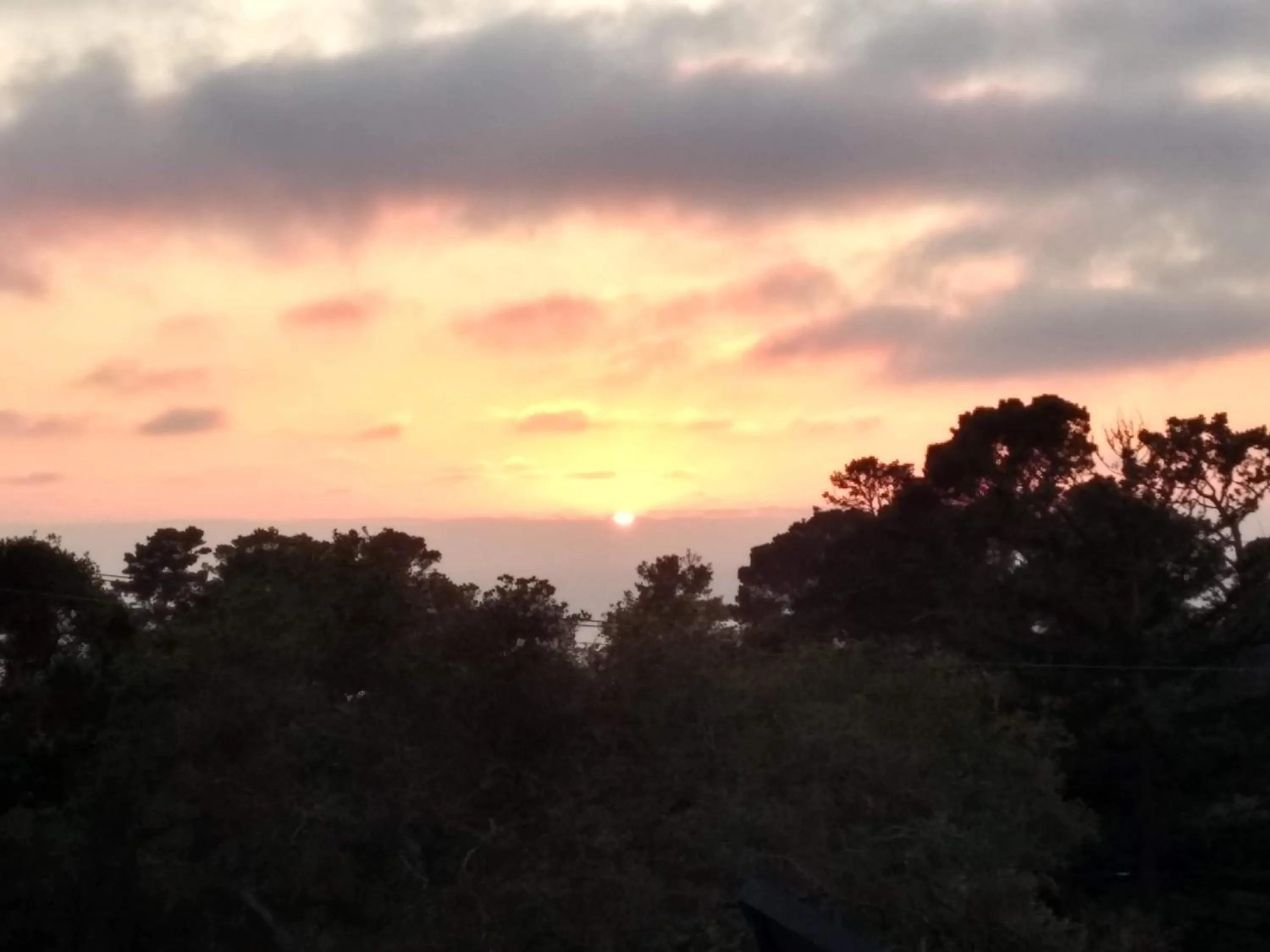 Balcony/Terrace in Hofsas House Hotel
