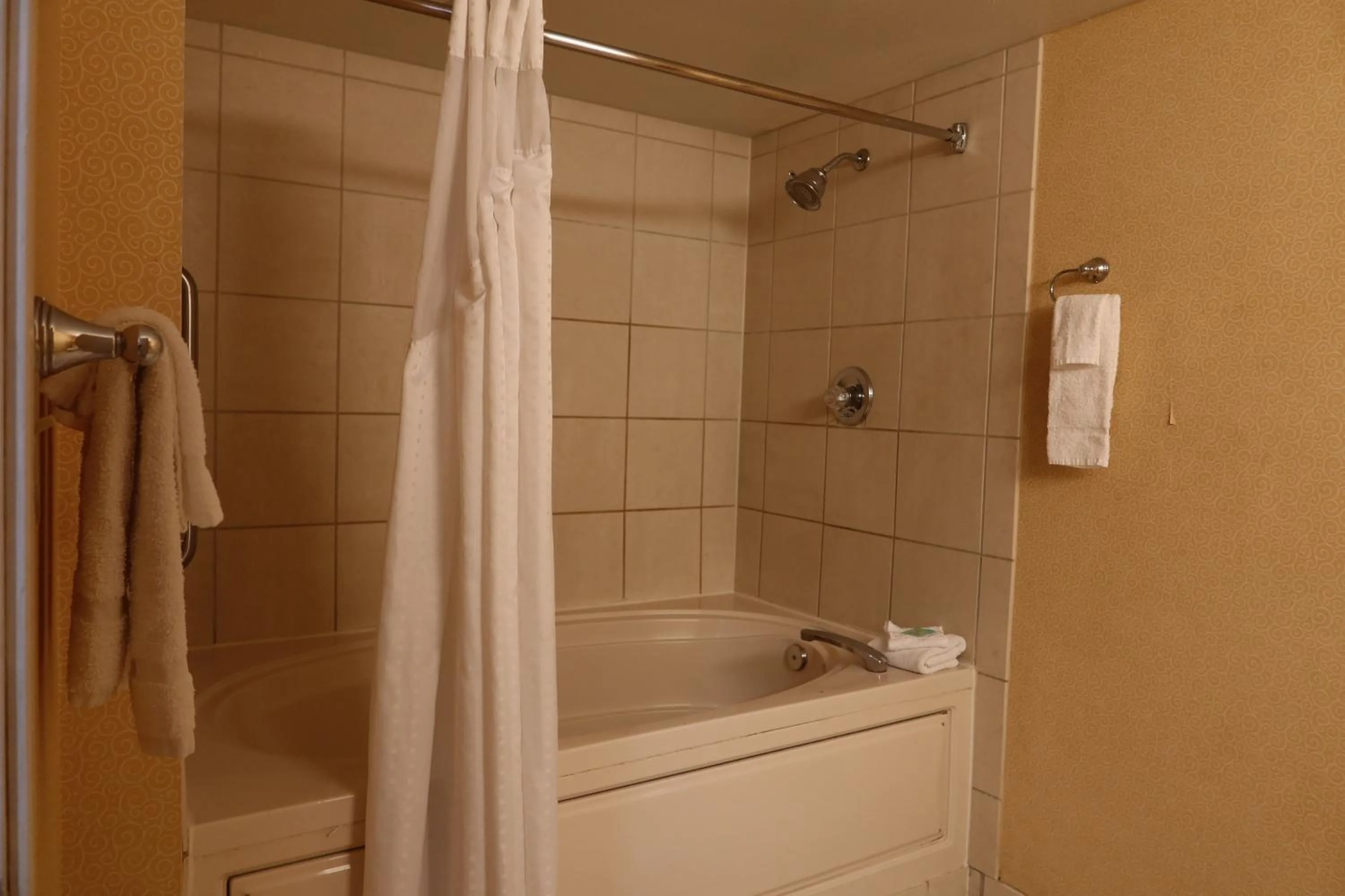 Bath in GreenTree Hotel Phoenix West