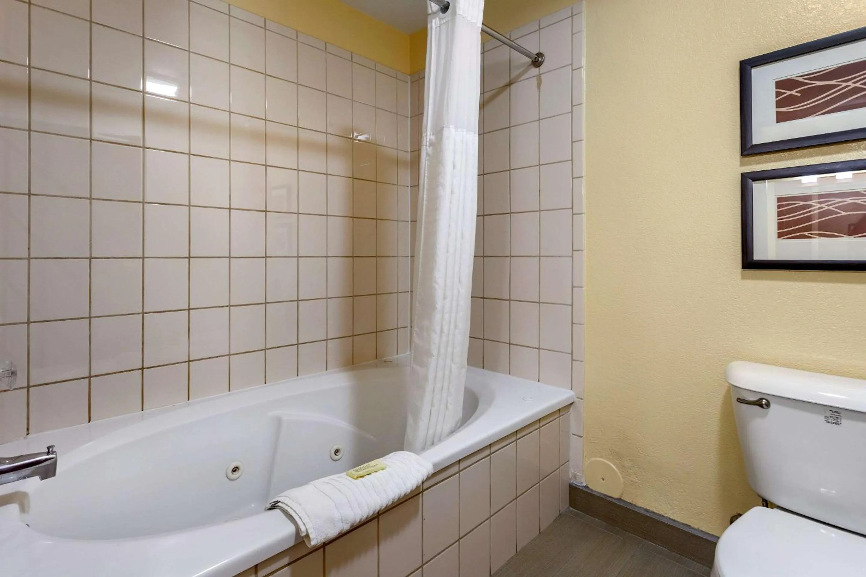 Photo of the whole room in Comfort Inn & Suites North Aurora - Naperville