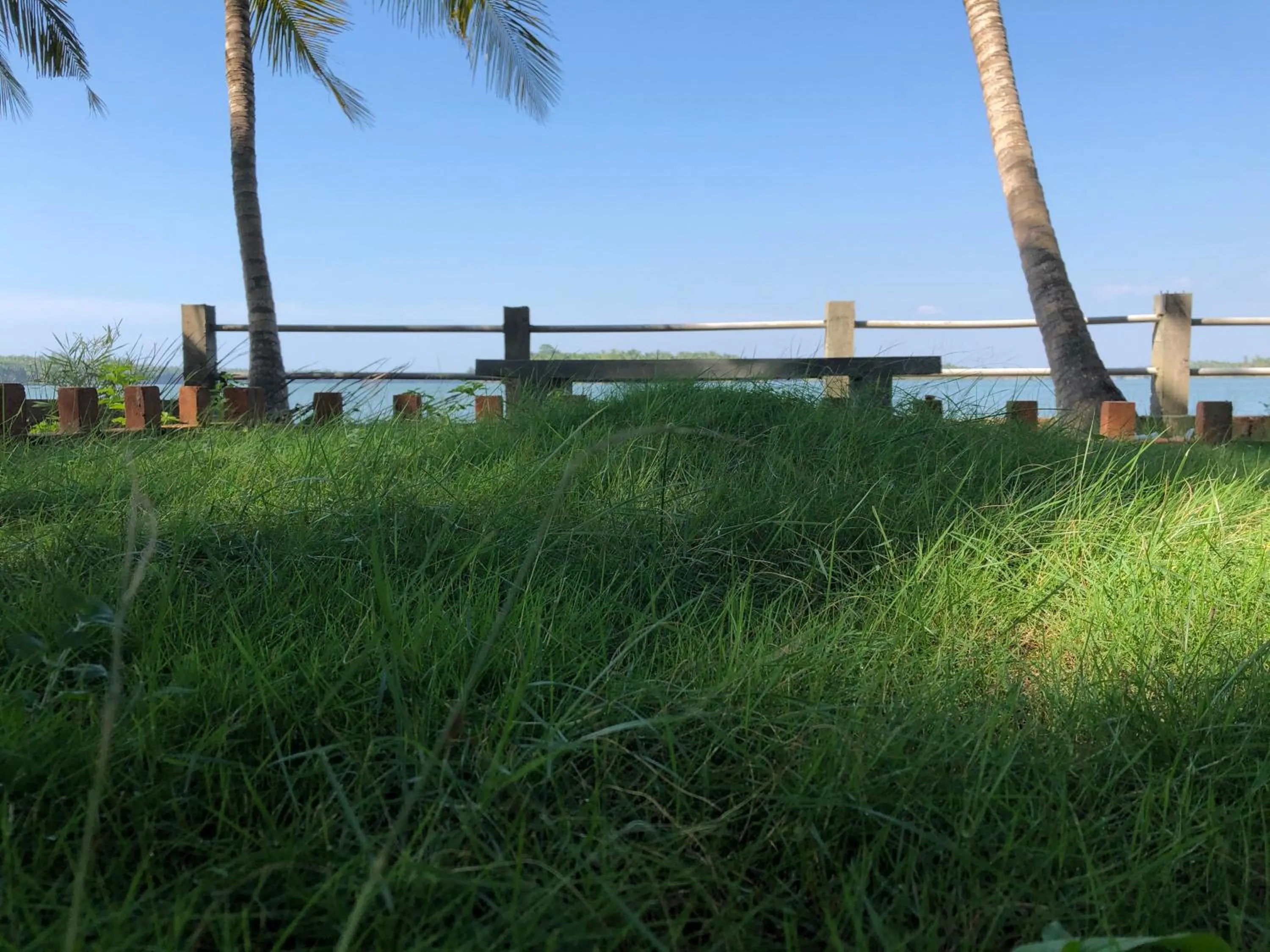 Garden in Candlehut Homestay