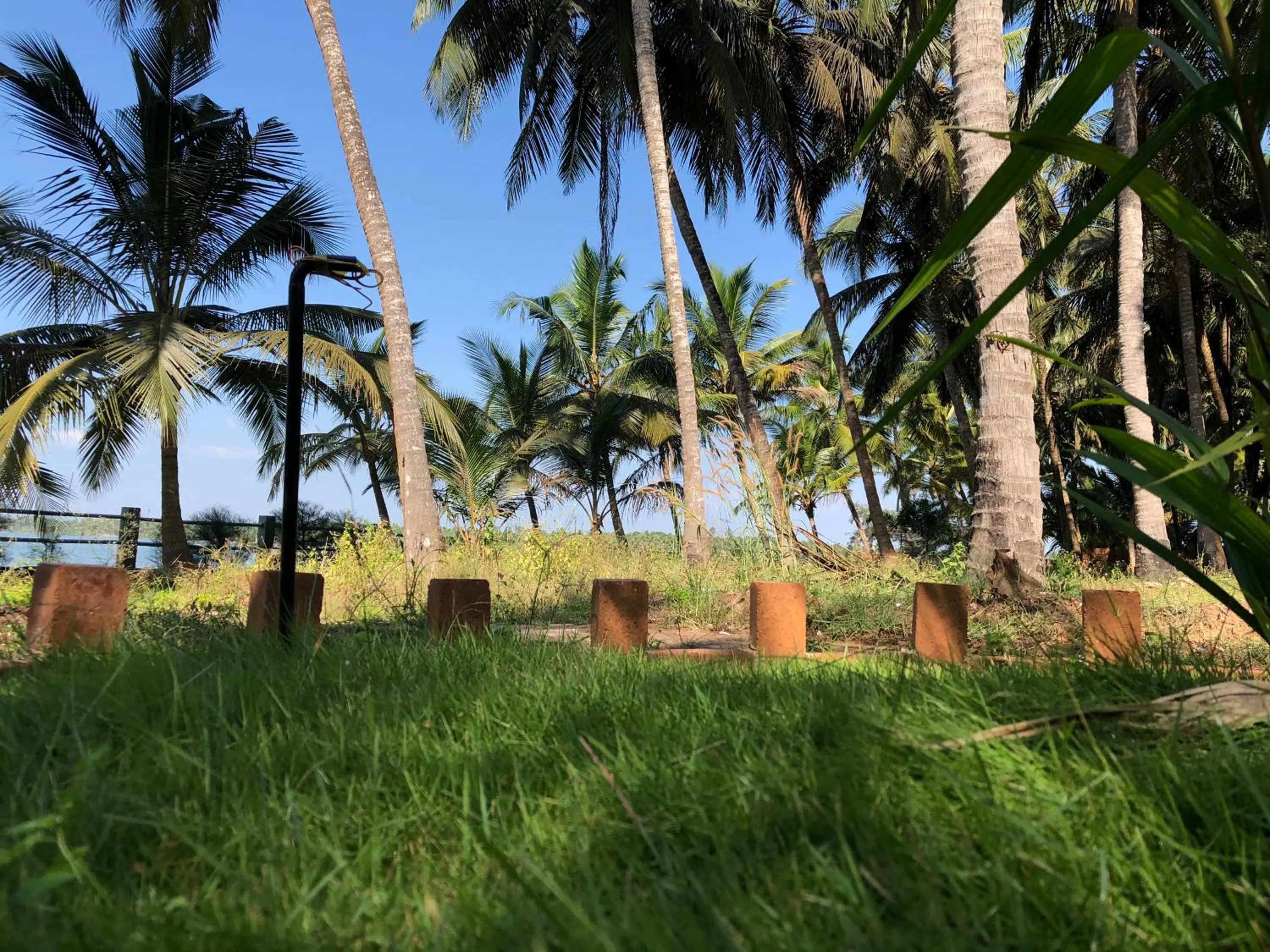 Garden in Candlehut Homestay