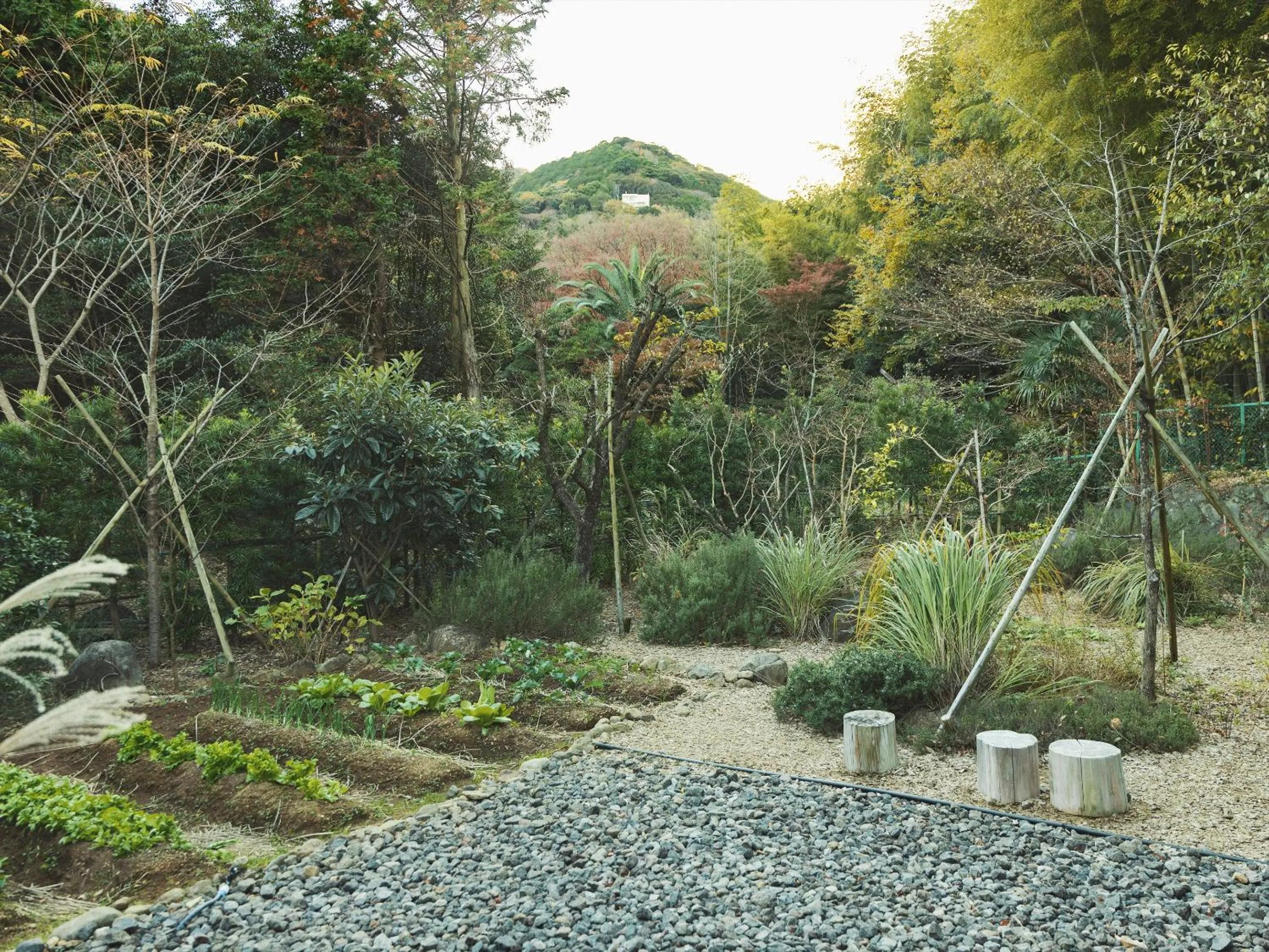 Garden in SOKI ATAMI