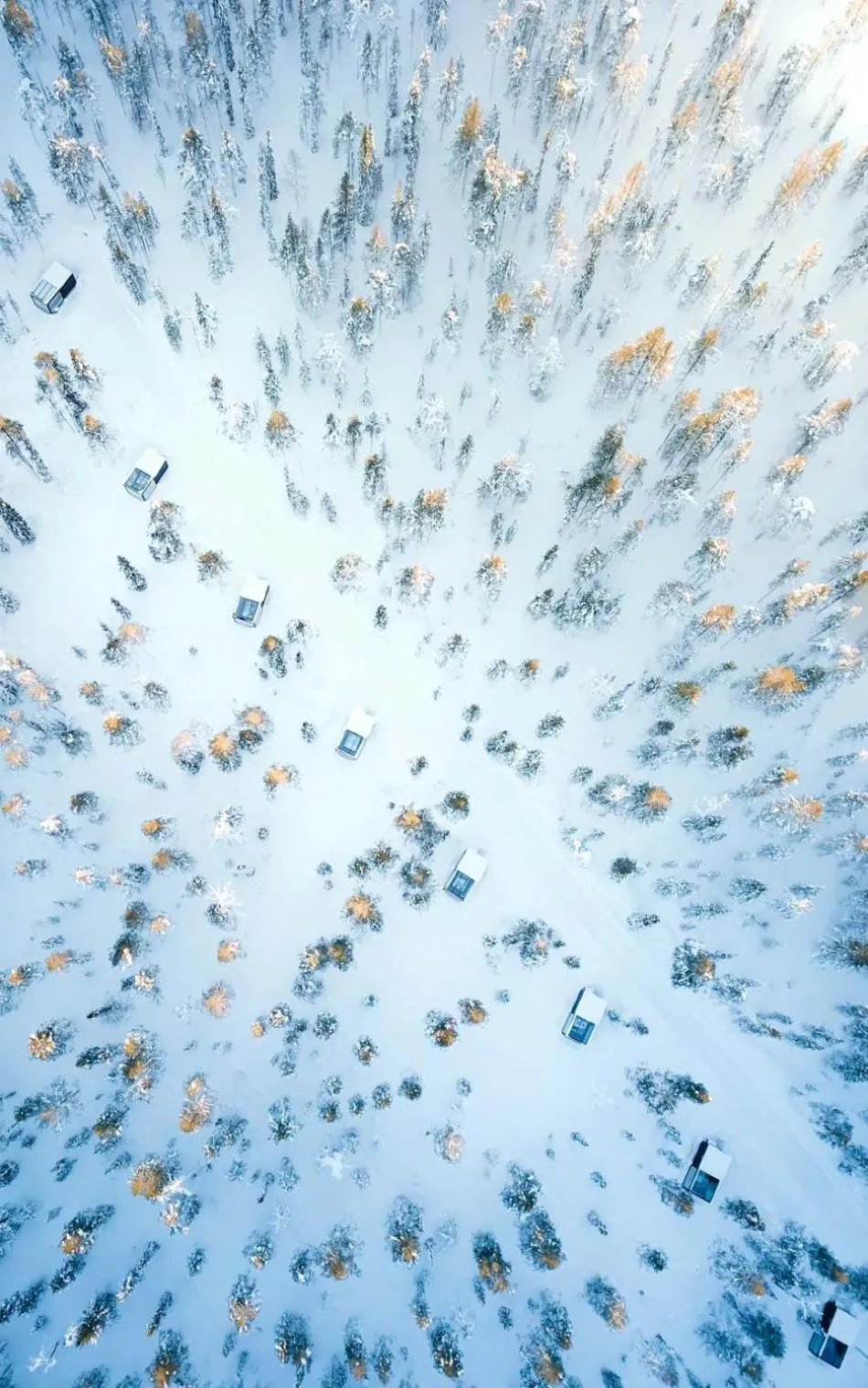 Property building in Arctic Skylight Lodge